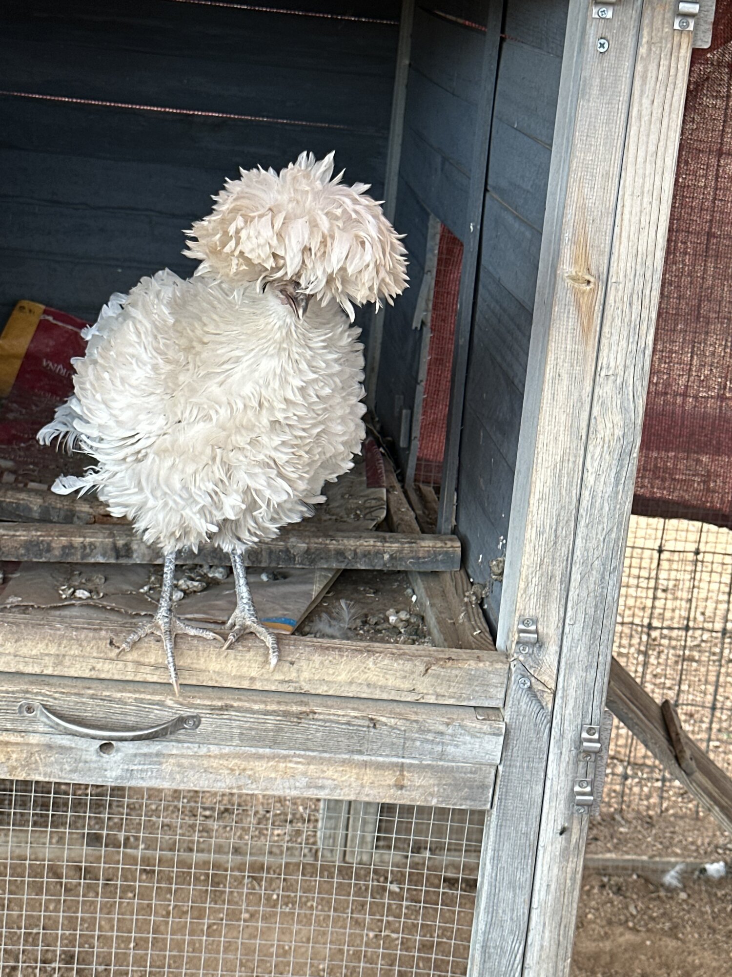 2024—Winter on the Farm Photo Contest 97.jpg