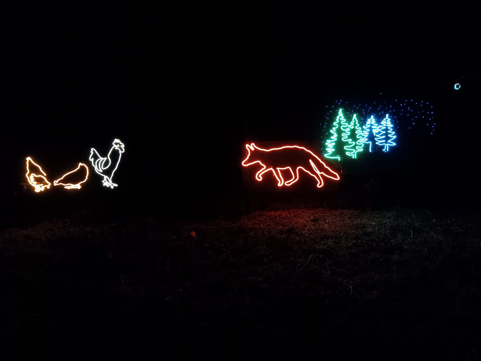 2024—Holiday Decorations Photo Contest 37.jpg BackYard Chickens