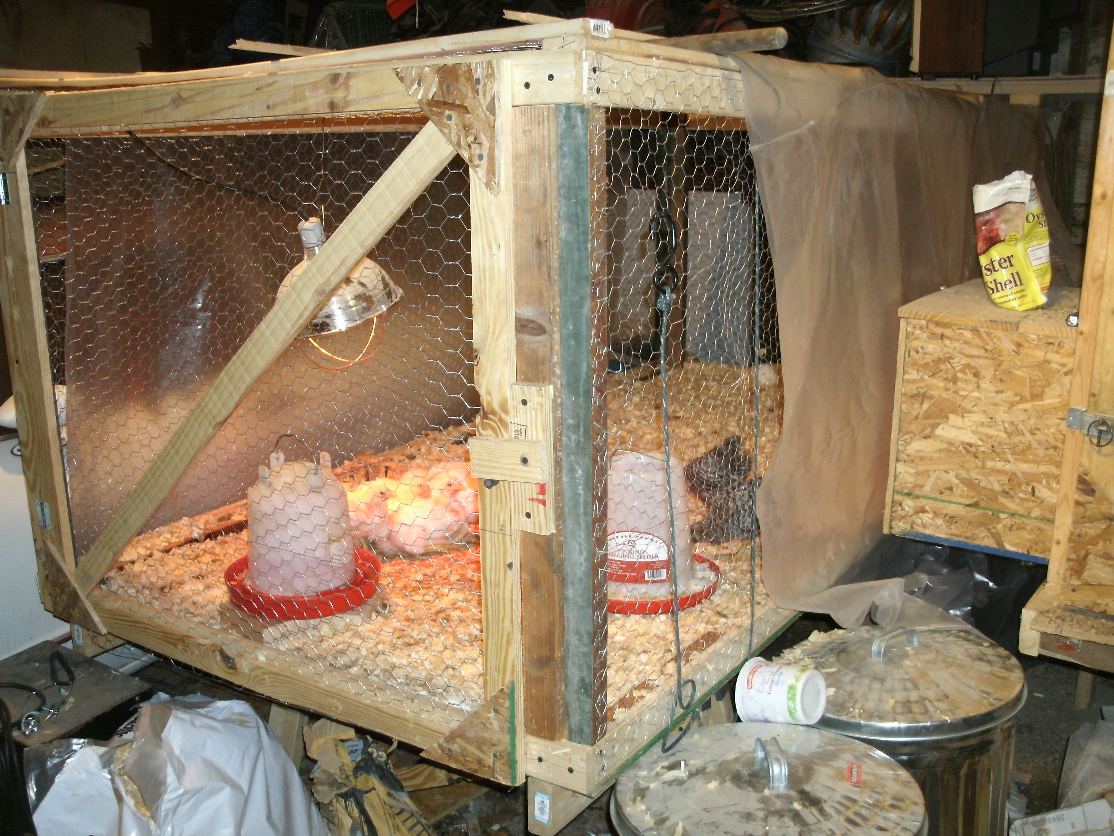 22513 plastic up for chicks