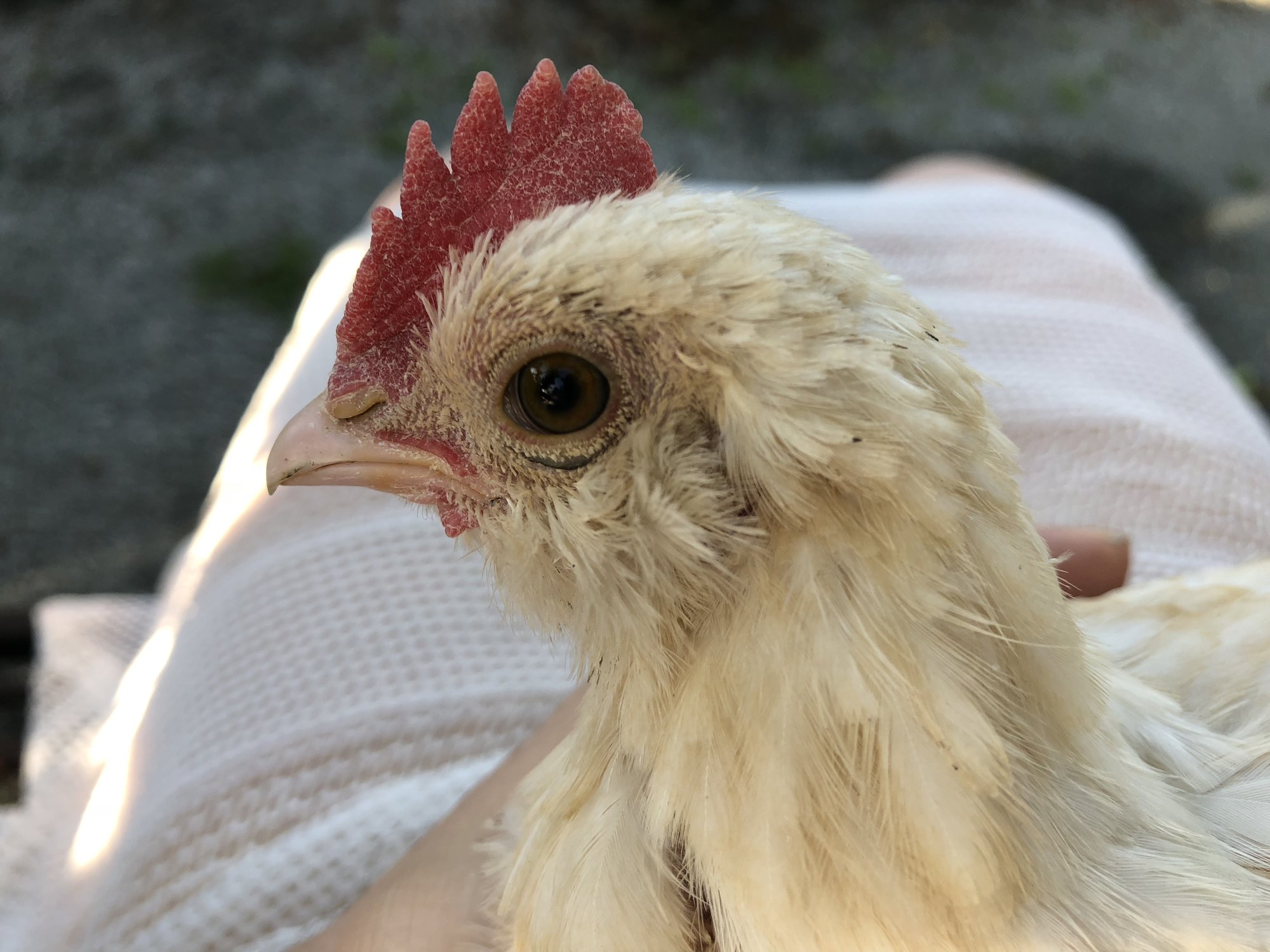 266D4940-C06E-43B9-A7A5-654419B6A914