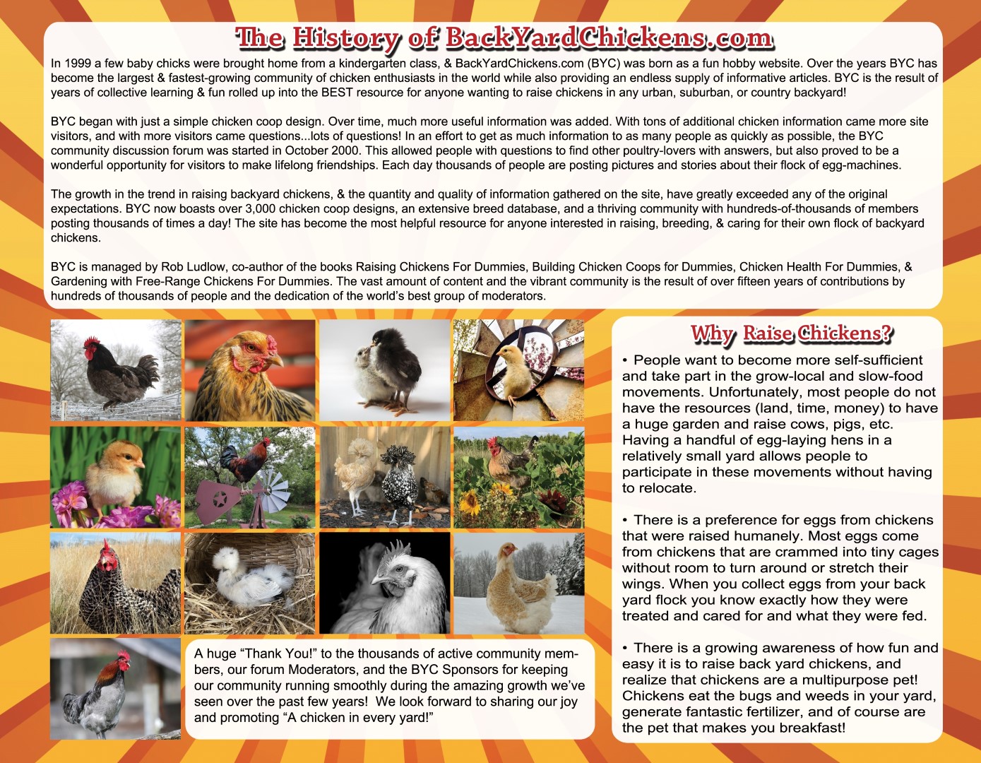 2_14-back (Large).jpg