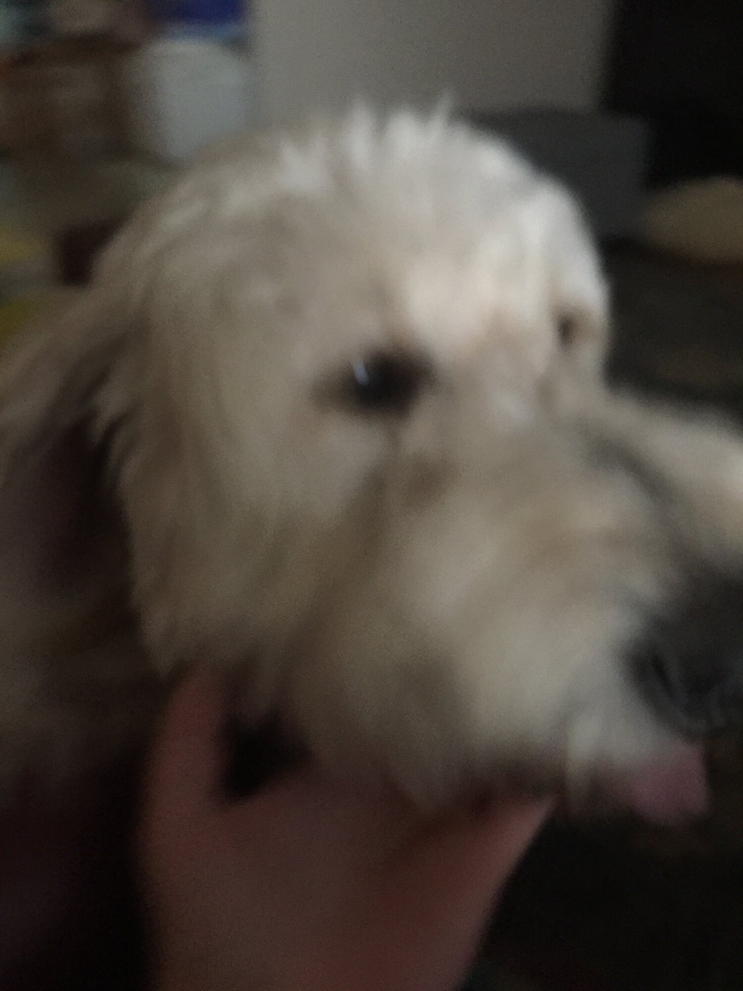 2AF3D223-B0AA-4198-95CE-437C5D572A94.jpeg