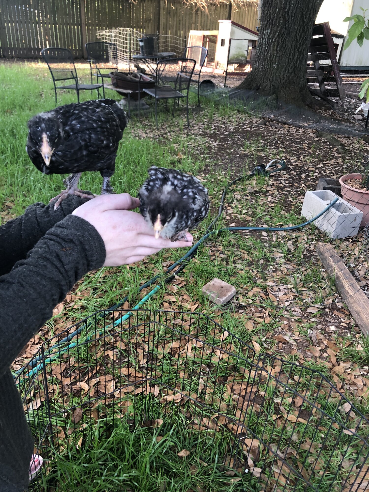 2C888902-A5CD-4182-922F-6B68B4137EB5