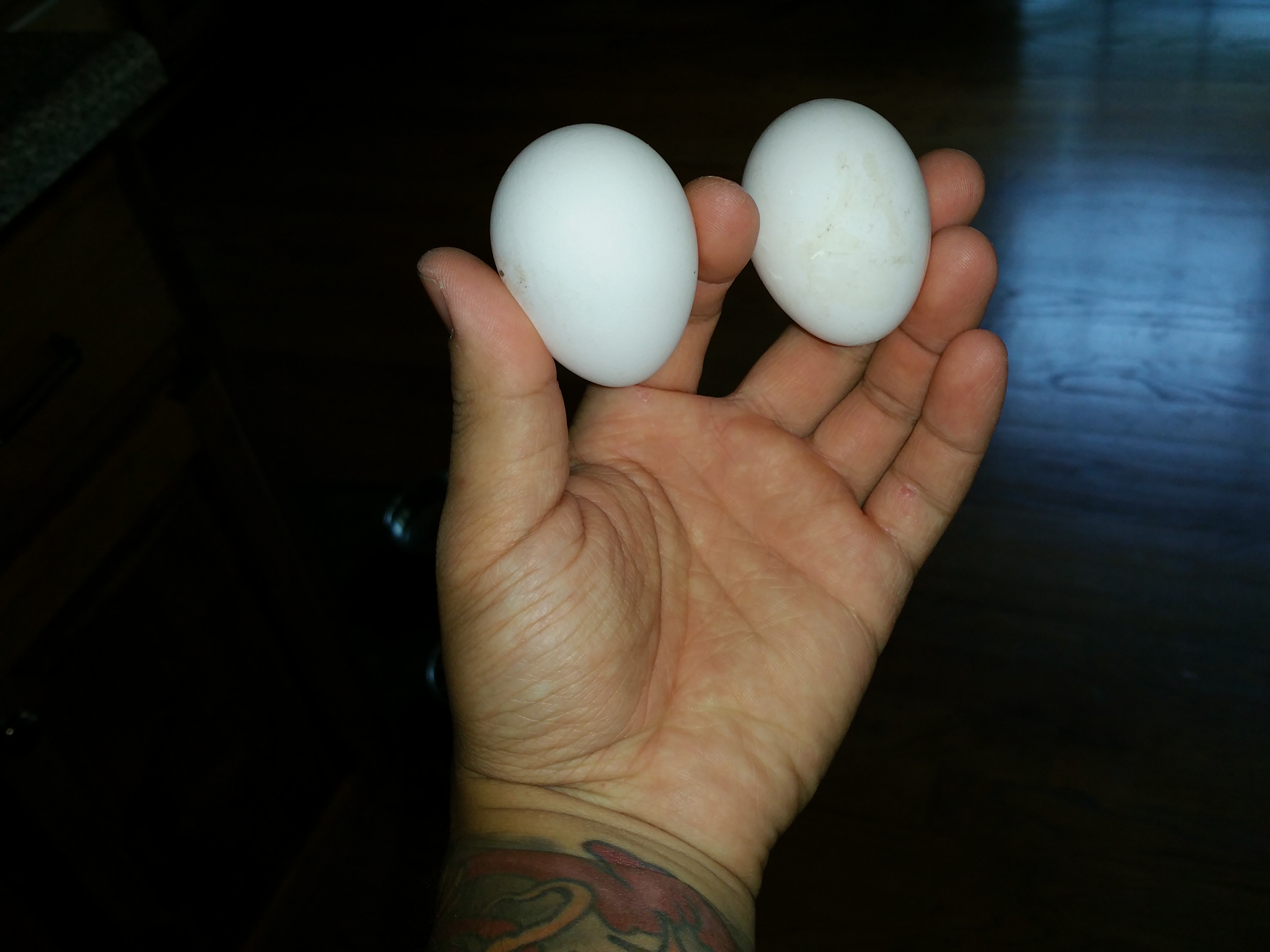 2nd & 3rd egg.