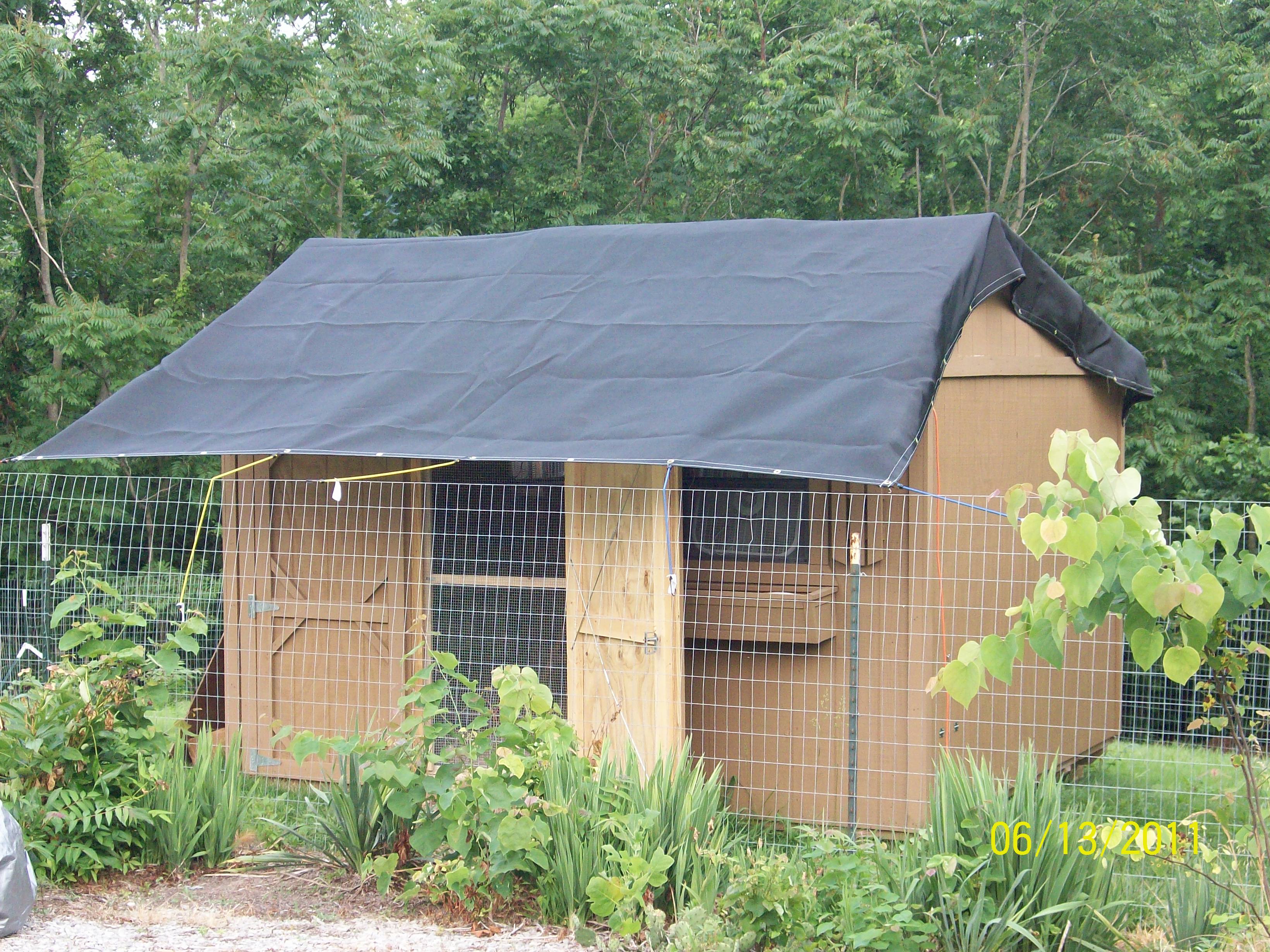 2nd chicken area/coop with shade tarp for summer BackYard Chickens