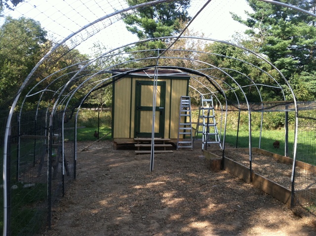 2nd coop at opposite end of run area