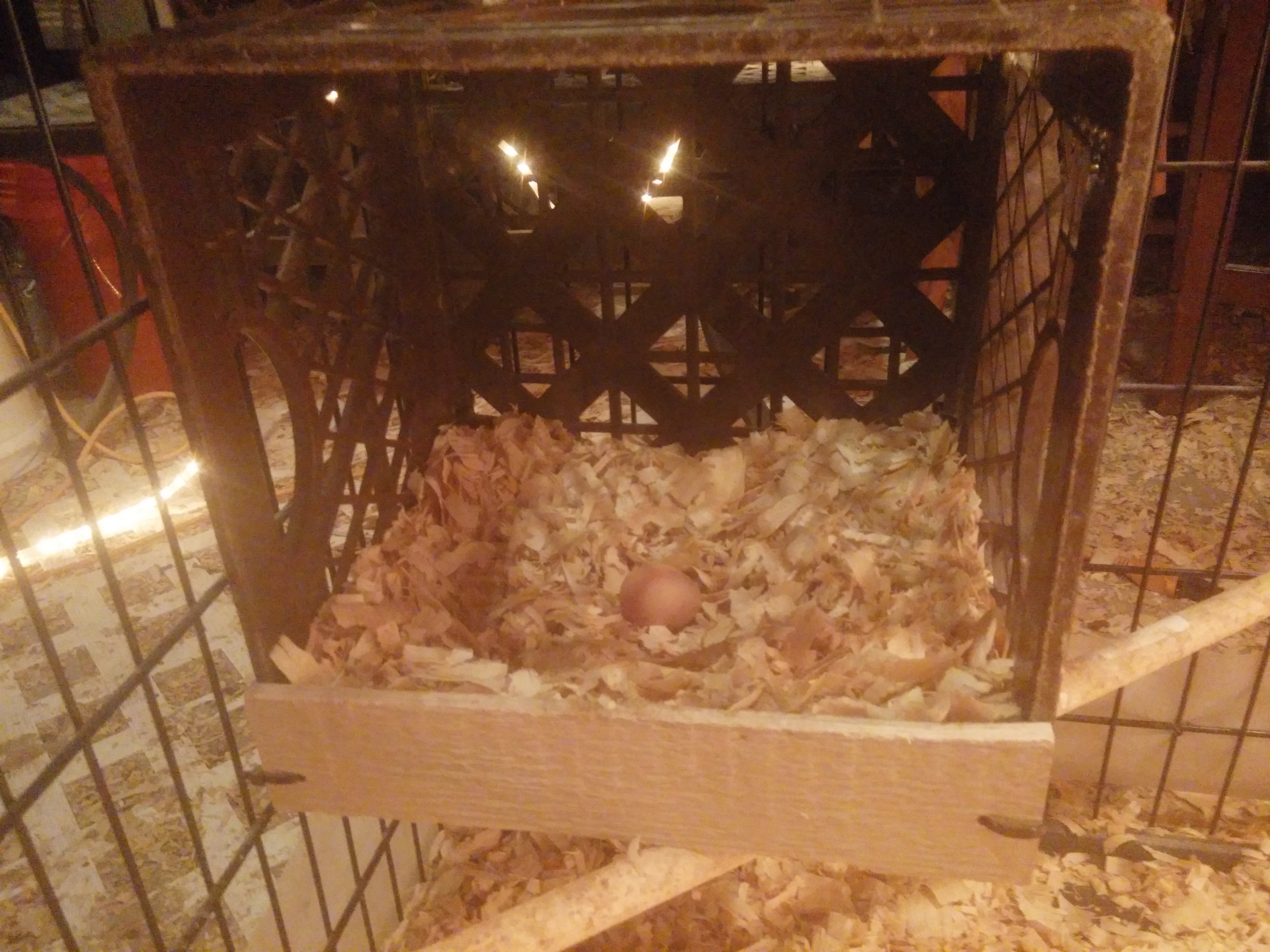 2nd egg