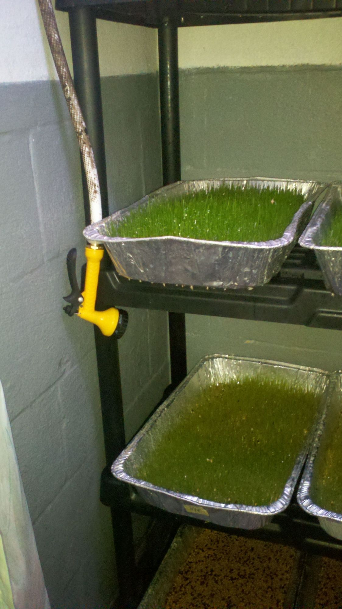 2nd hose nozzle