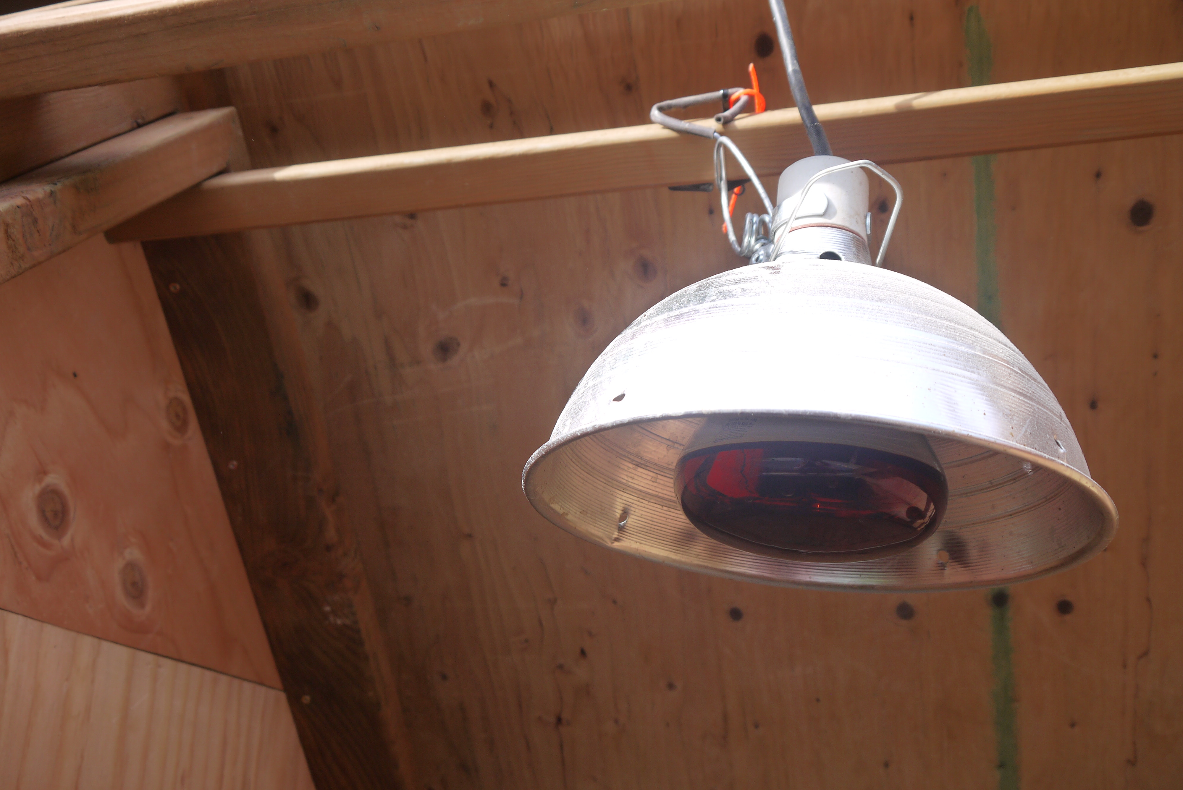 2x2 inside for hanging stuff on (i.e heat lamp, water, etc.)