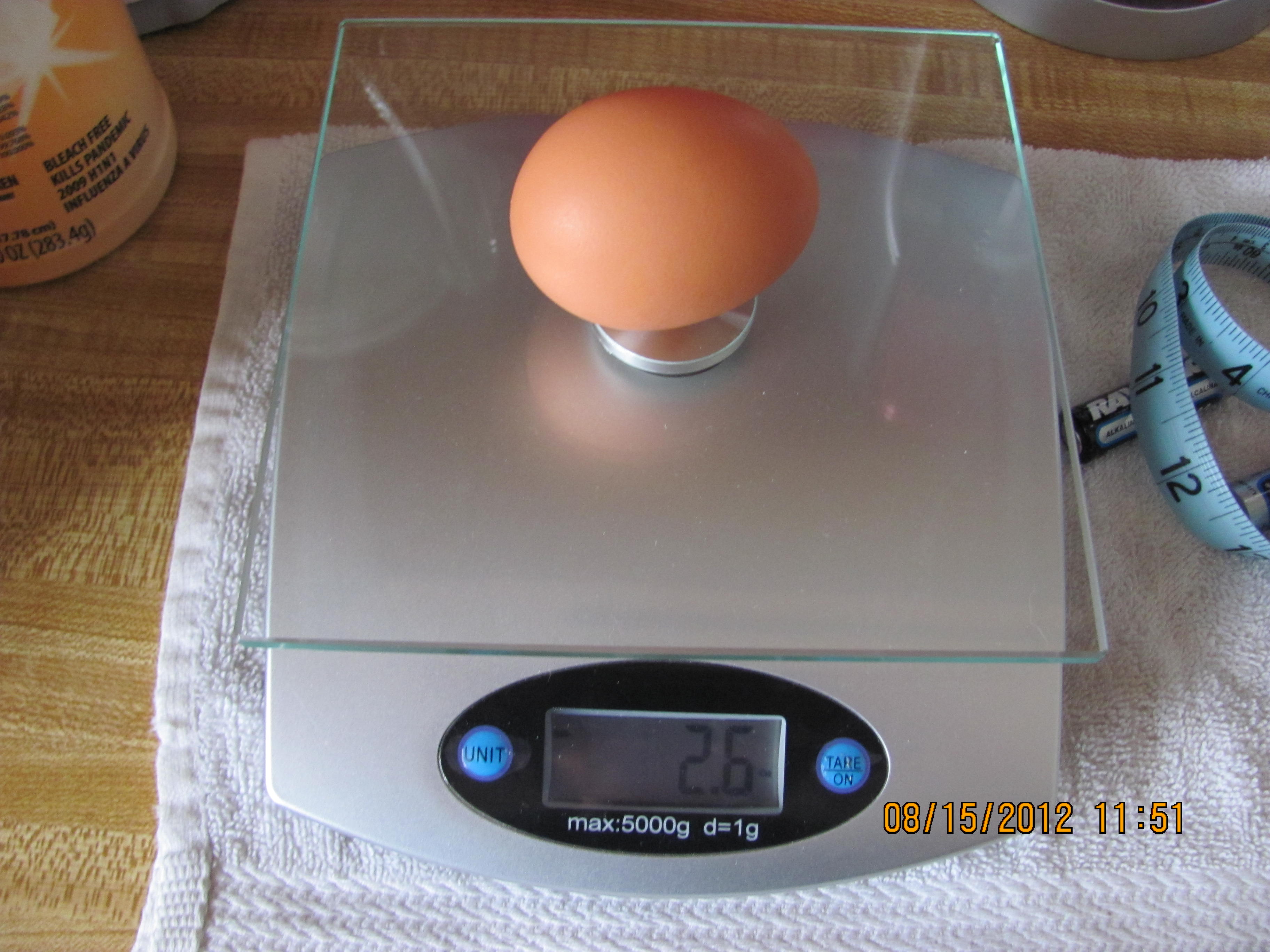 3 3/4 in L.
6 in Circ.
2.6 oz. wt.
Laid 8/15/2012
Will have to wait & see if it is a double or triple yoker!