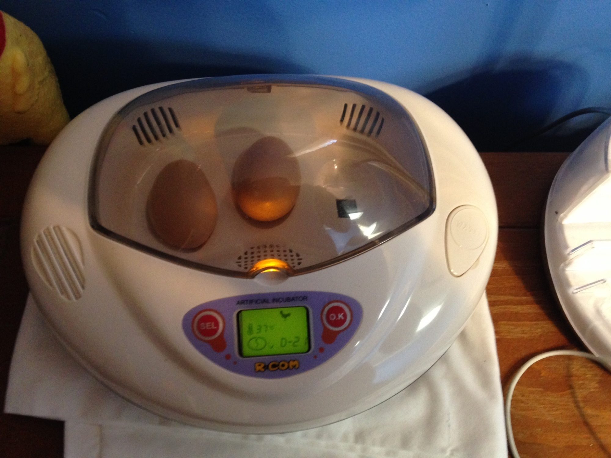 3 days later egg two followed!