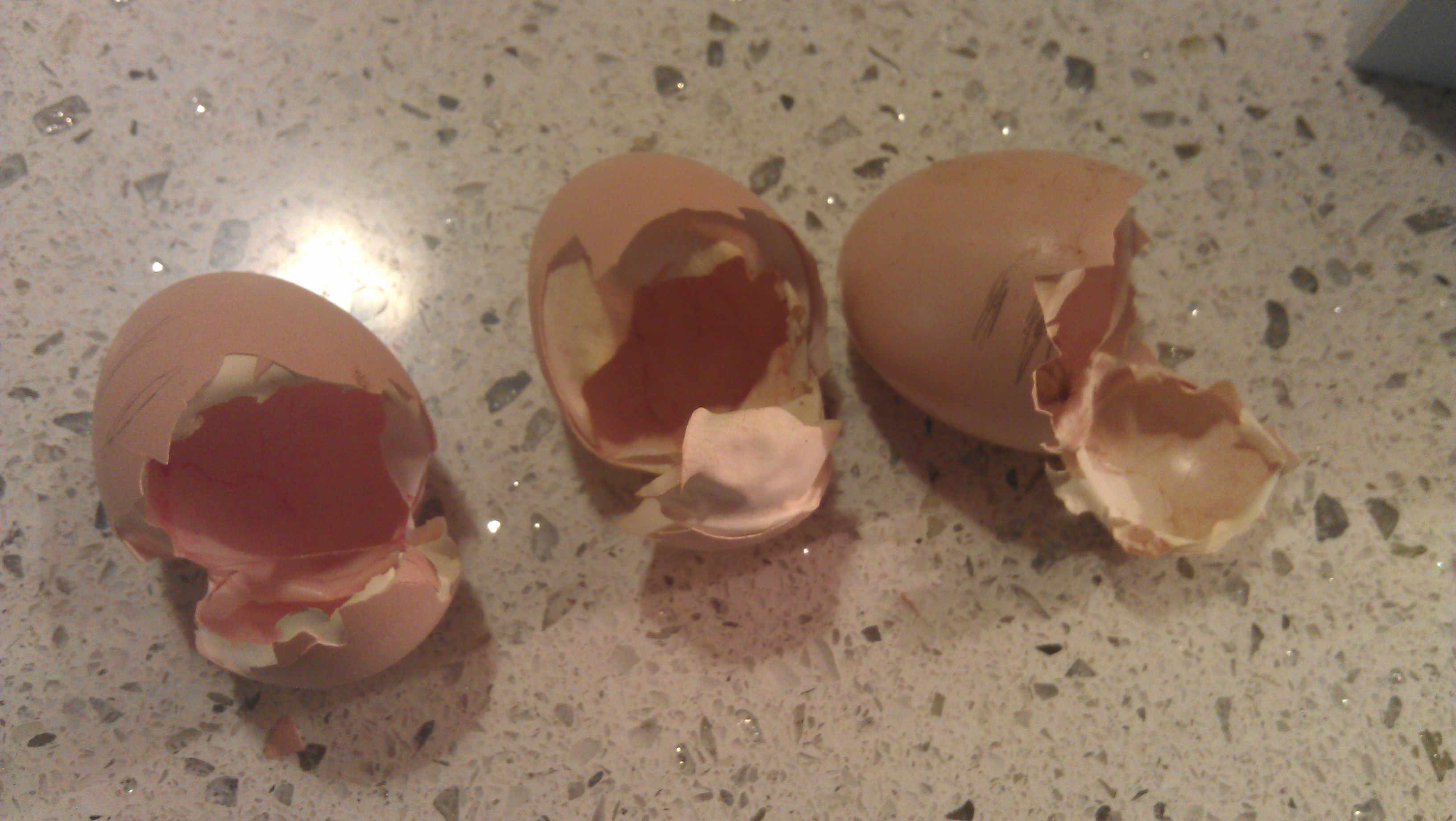 3 egg shells..