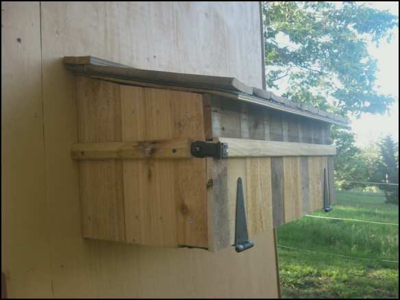 3 layers of roof material. The piece of plywood I cut out of the wall, a piece of an old thick computer chair mat, and scraps of pallet. The hinges & latches were in a coffee can of old bits and pieces in the garage. I painted them and they look great