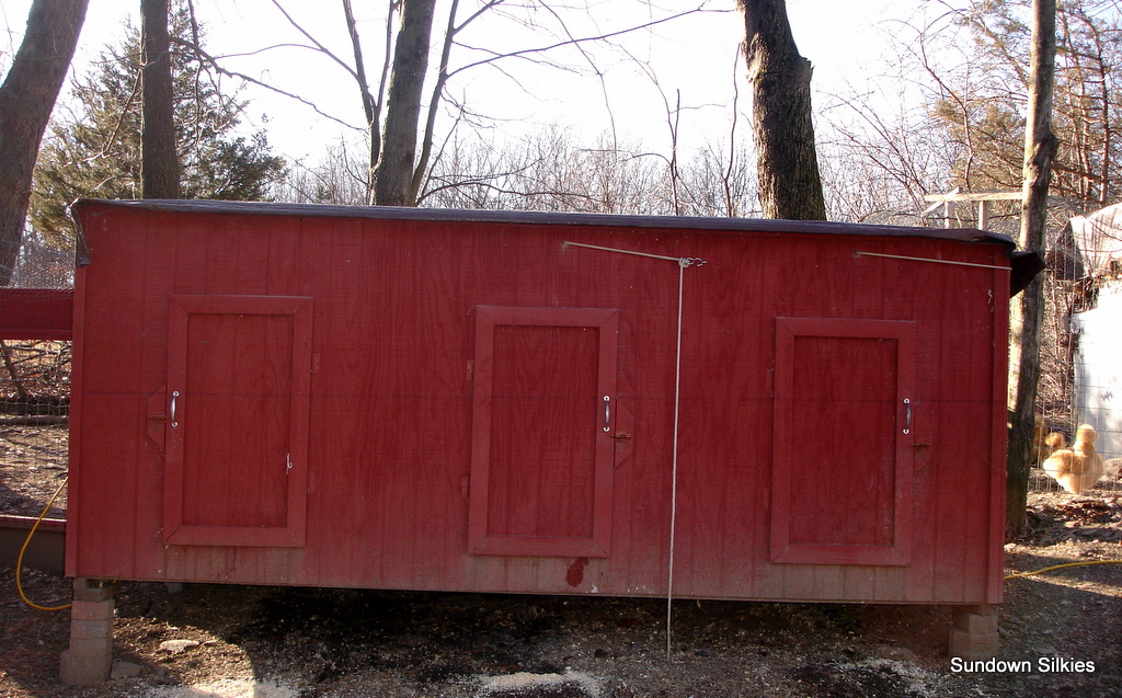 3 Section Silkie Coop.
