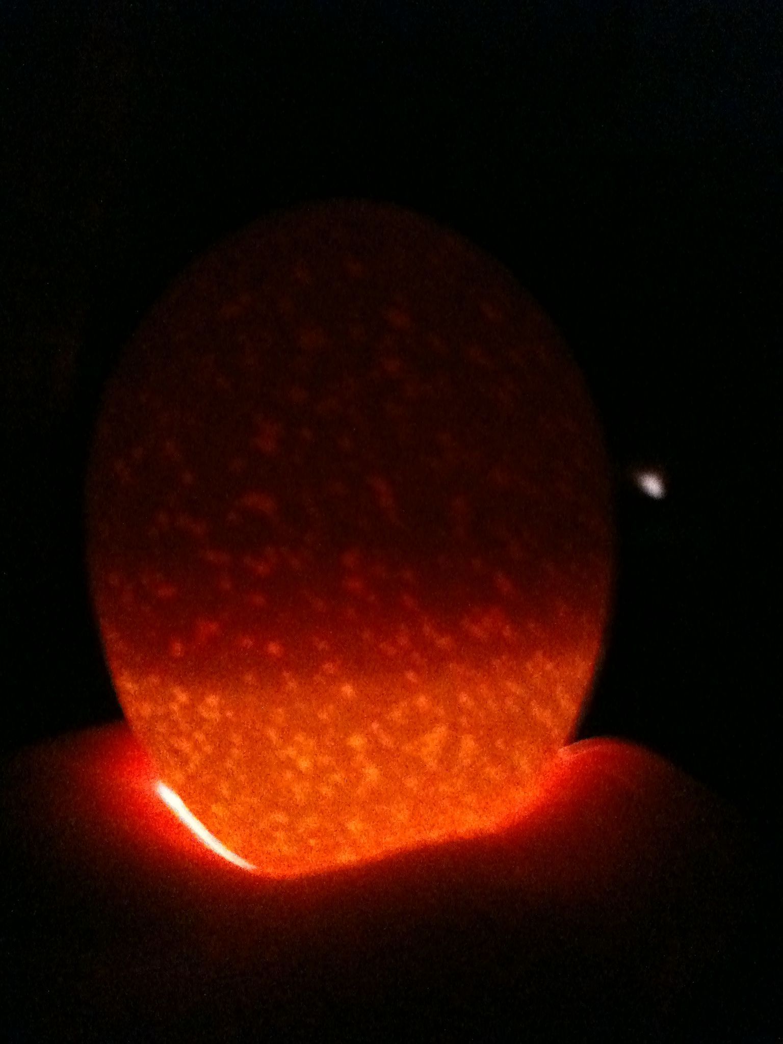 #3 very porous egg (light shined up from pointy end not down from top like I should have so it looks wierd too)