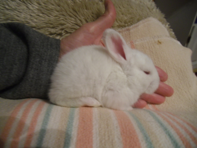 3 weeks old and look how big they've gotten!