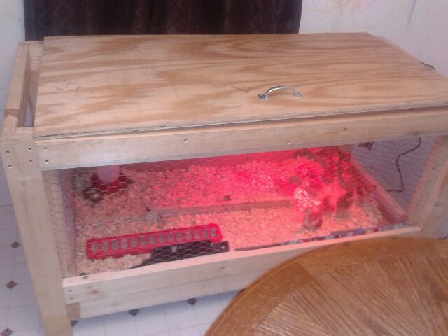 3' X 5' NURSERY
FOR OUR 13 PRODUCTION REDS