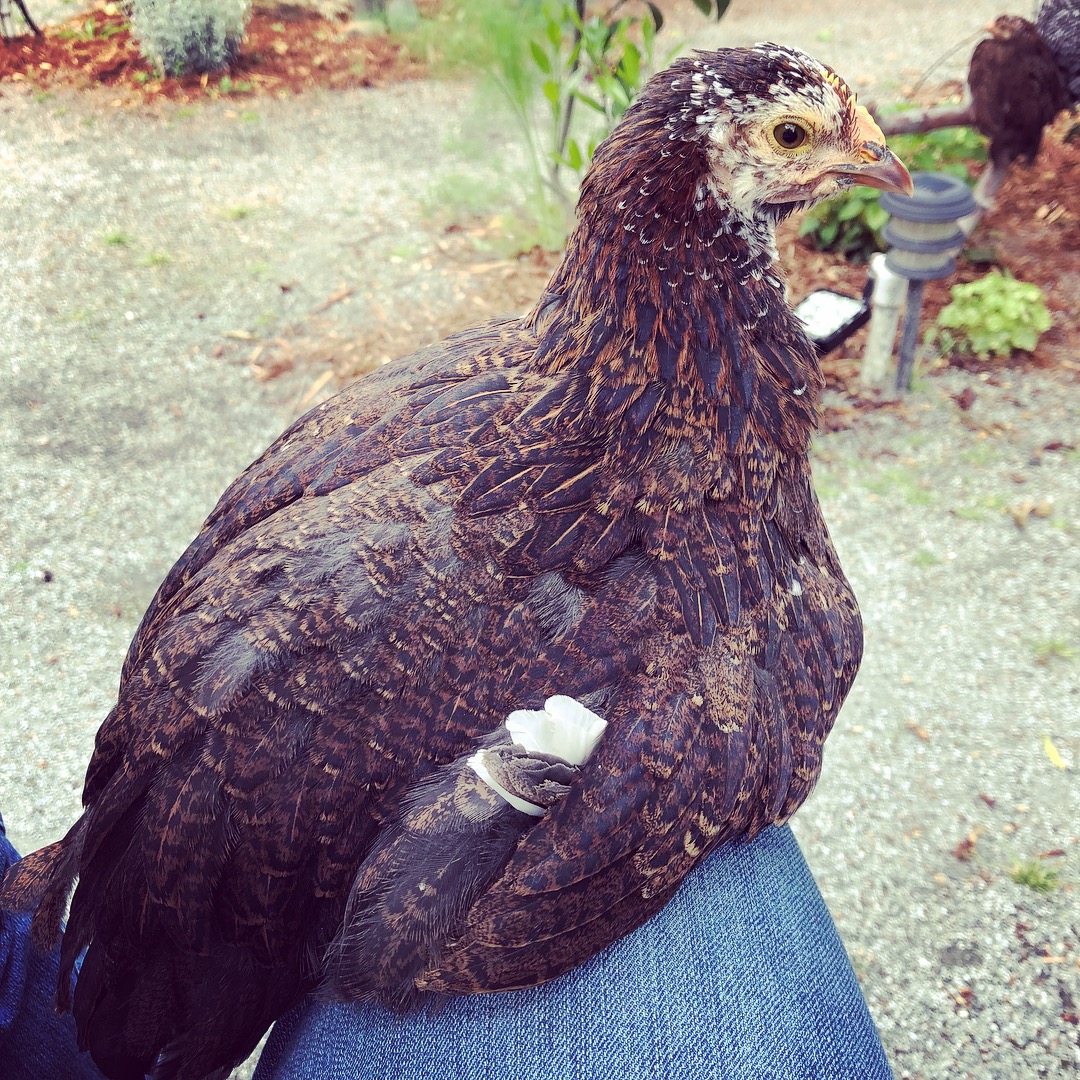 32C6E1EA-261A-41B9-AA63-137A33E91DAD