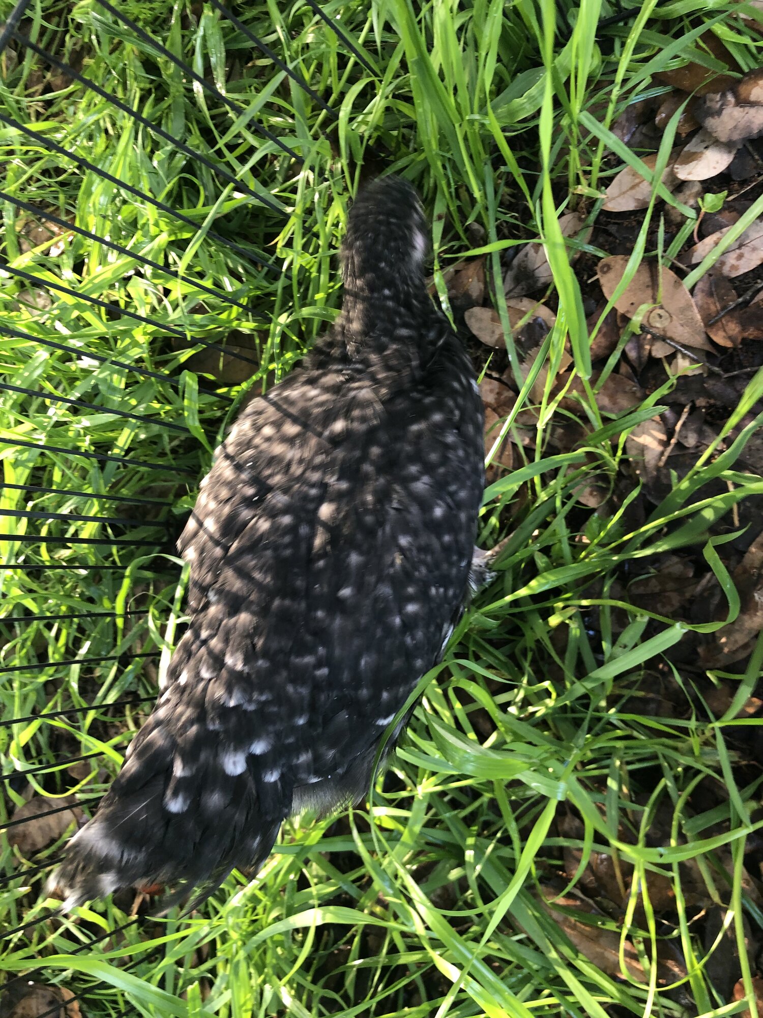 34757947-AF3D-4B88-9880-BCCAF5EC7C8D