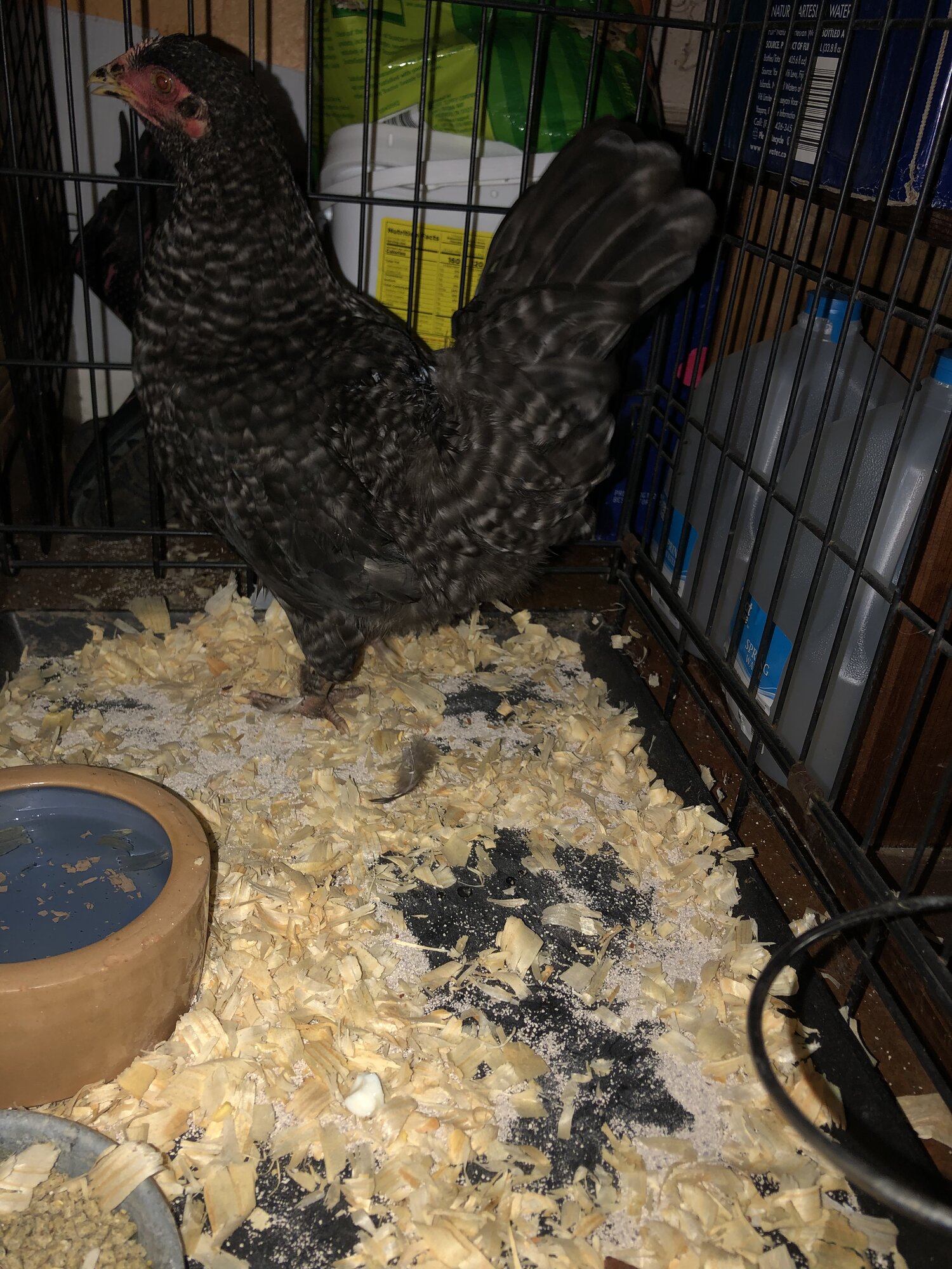 35BAB35C-164B-4007-B20E-860785F43C49