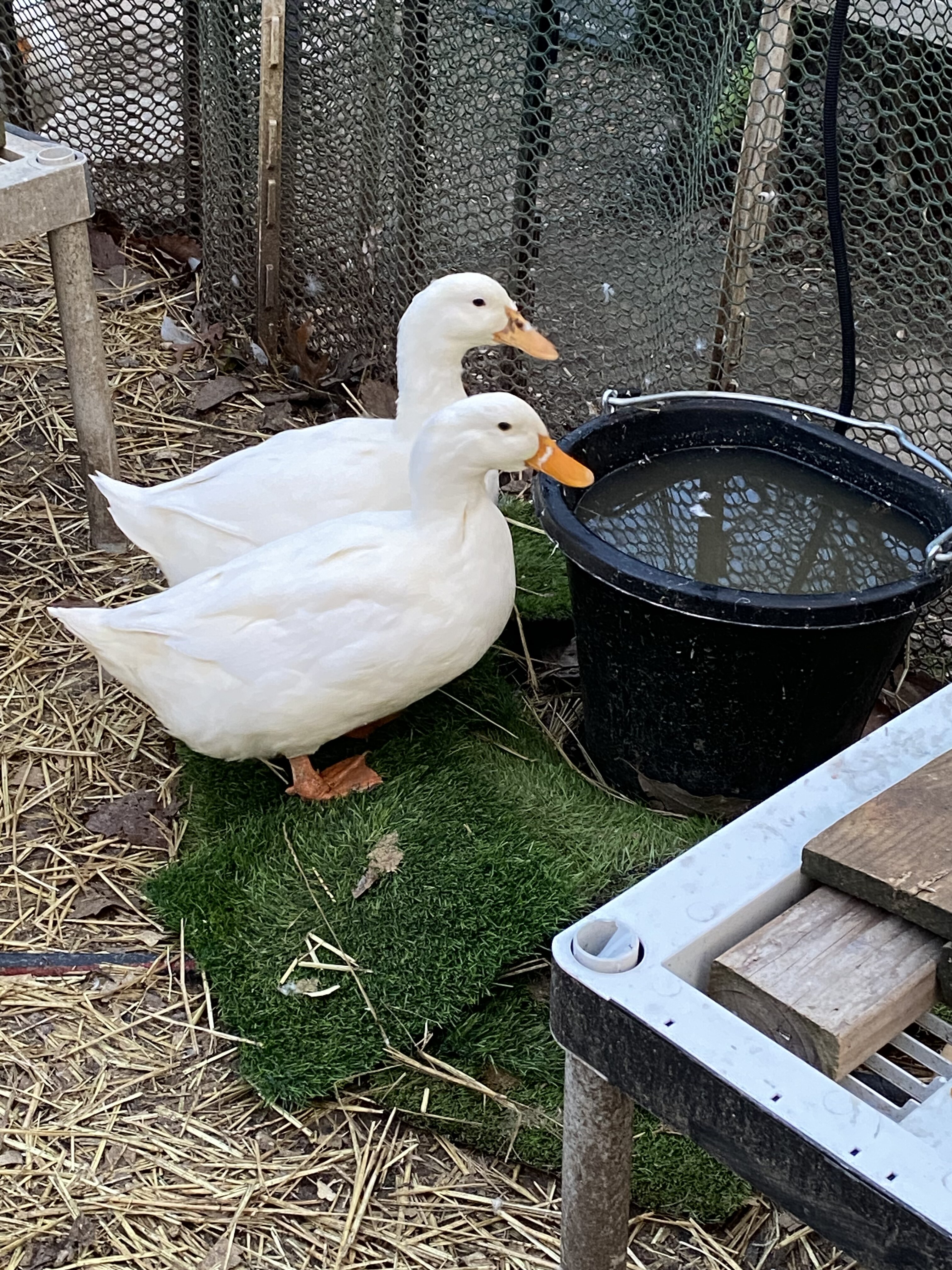 390467D9-BAAA-422D-AC57-3ECD02A59EF9.jpeg