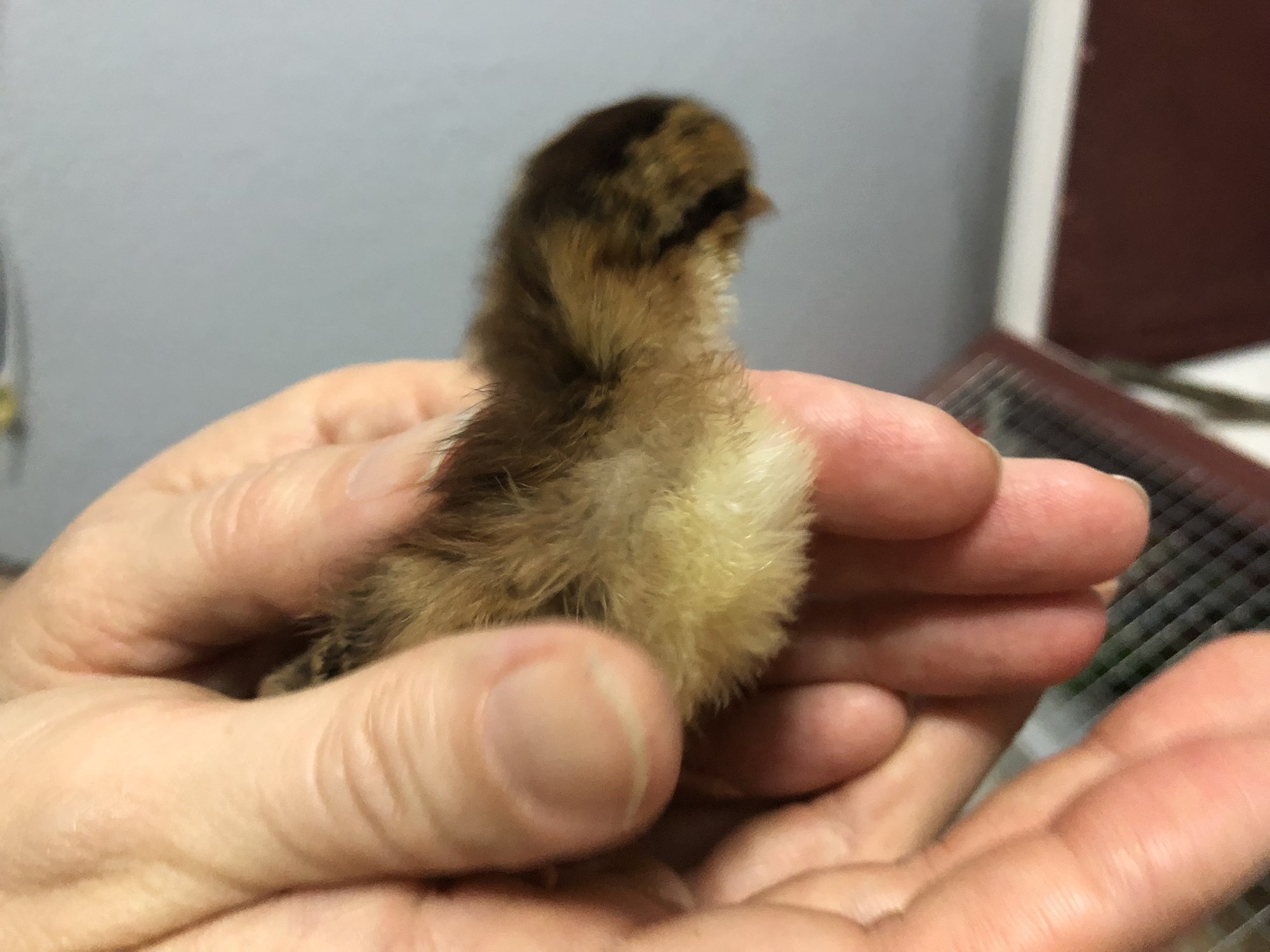 395048E4-9BD5-4A39-9EFD-8590565500F1