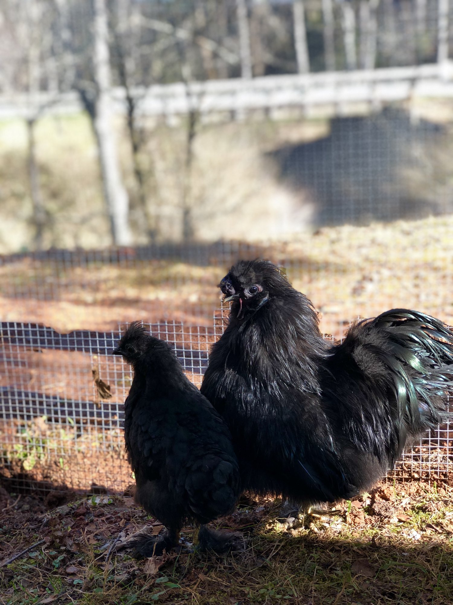 3C57E73A-31B3-4D00-9601-15DD029CFBE4