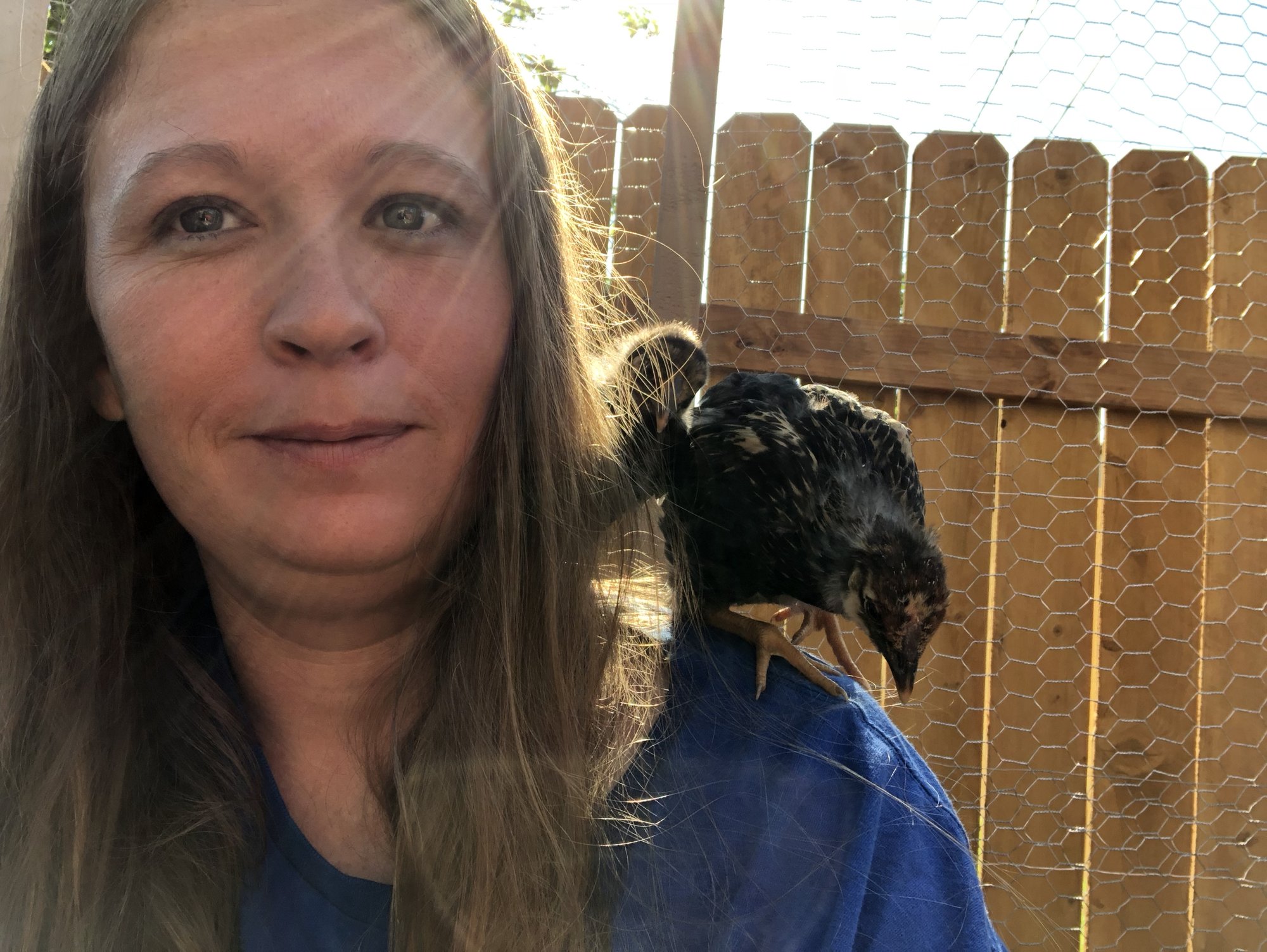 3D25522C-A97F-4E6F-99E8-CE2D4B71BF12