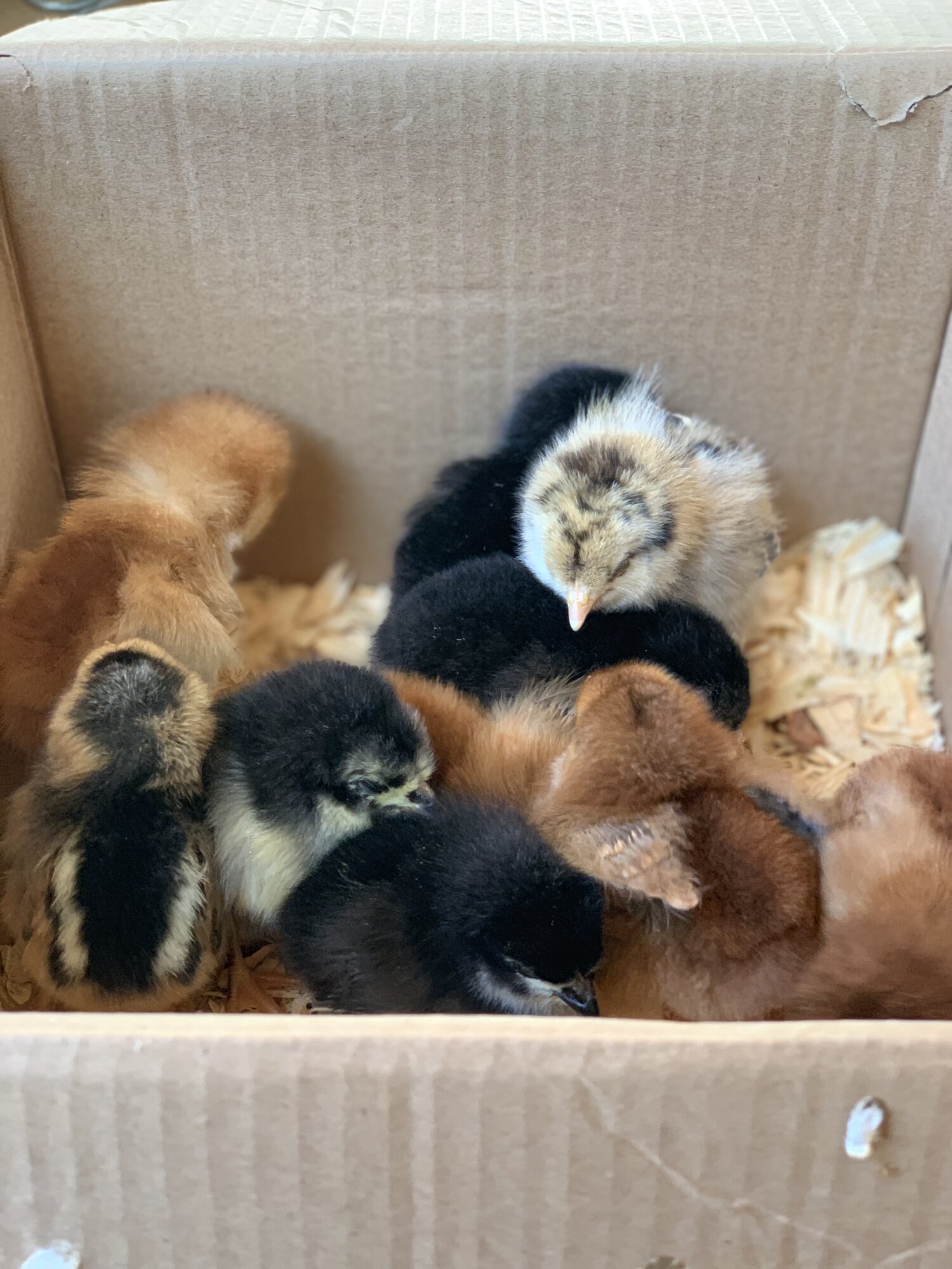 3ED608B6-6372-4467-B5AB-6DA30D477E5B