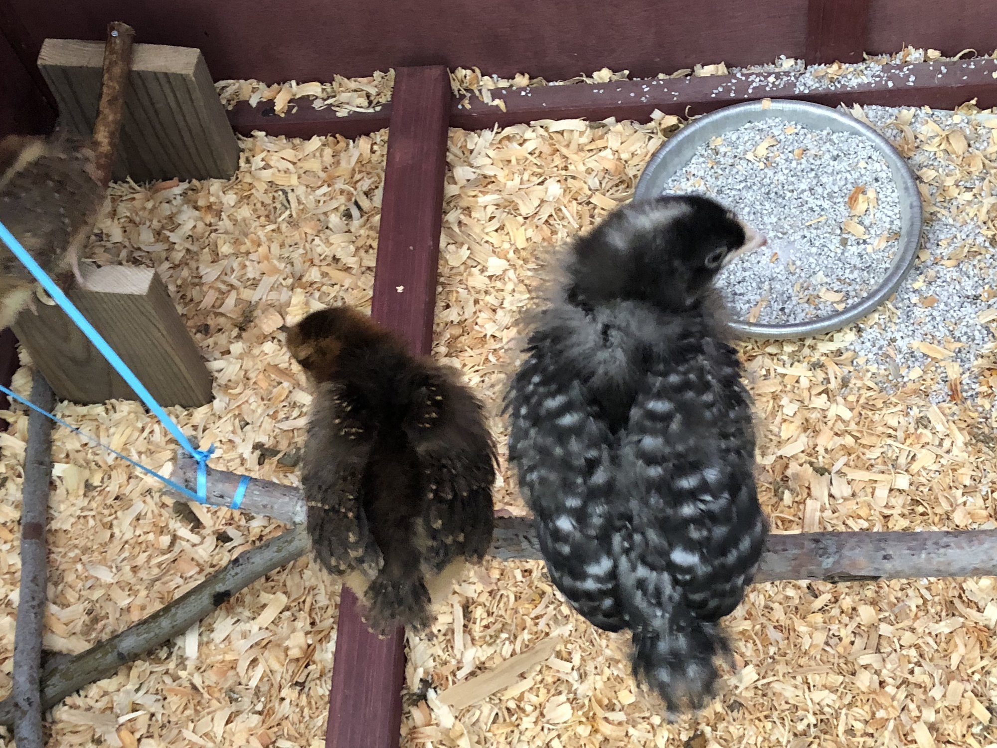 3F445AB0-E1CA-49B2-A7D5-EB2C02498AB0