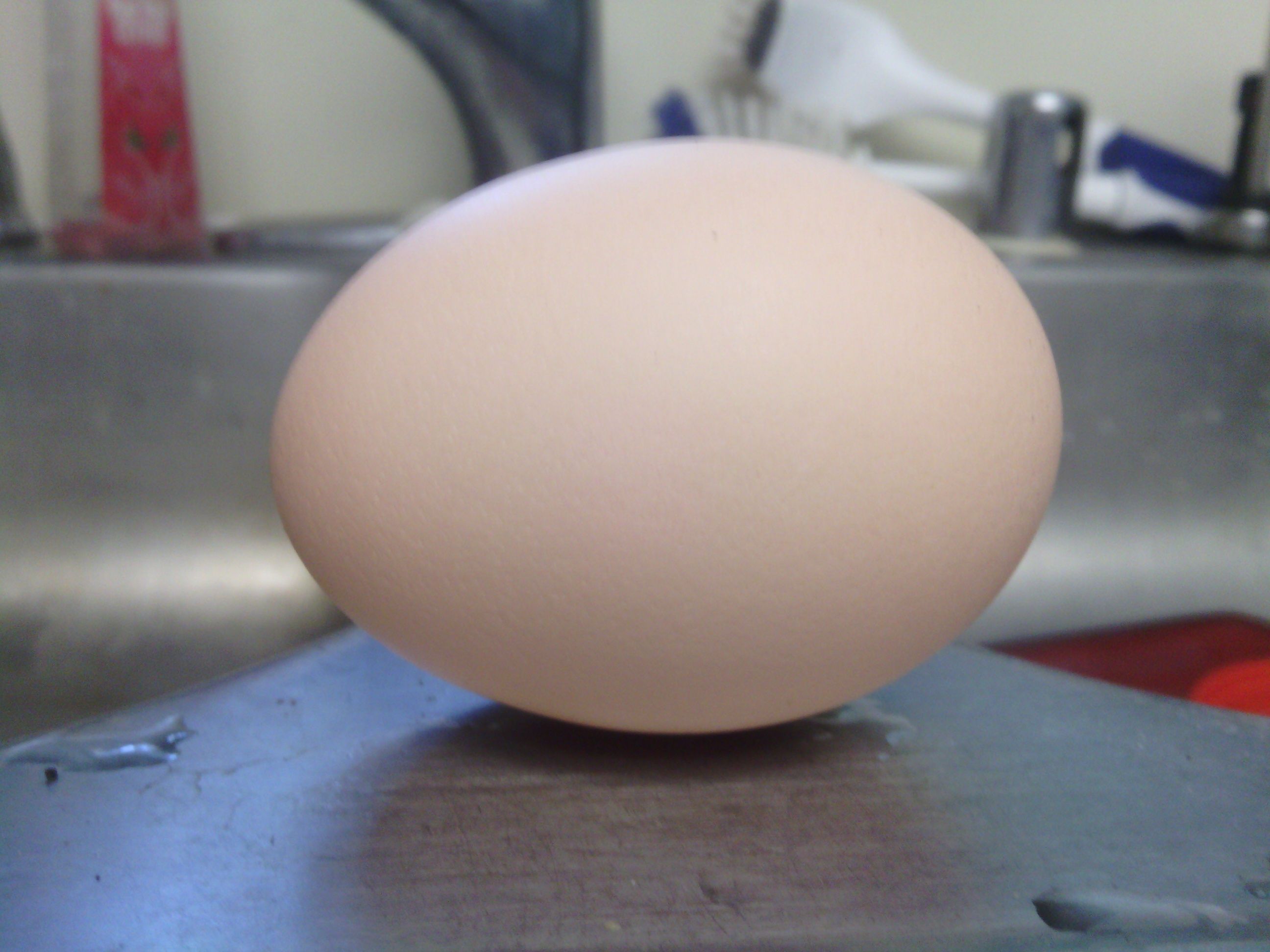 3rd egg, 12 pm, 7/2 BIG egg, found out last night it was a double yolk