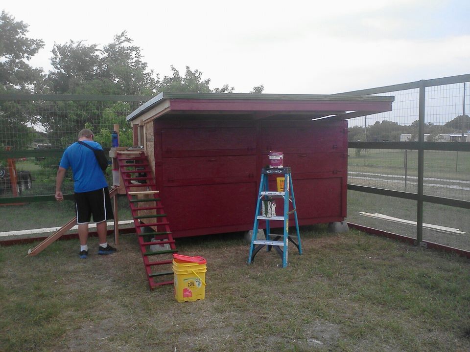 4/28/12 hen house front view
