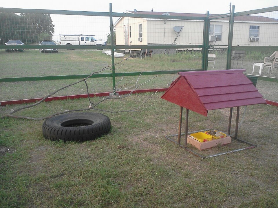 4/29/12 put a tire and a big branch in so they would have somethin to play with