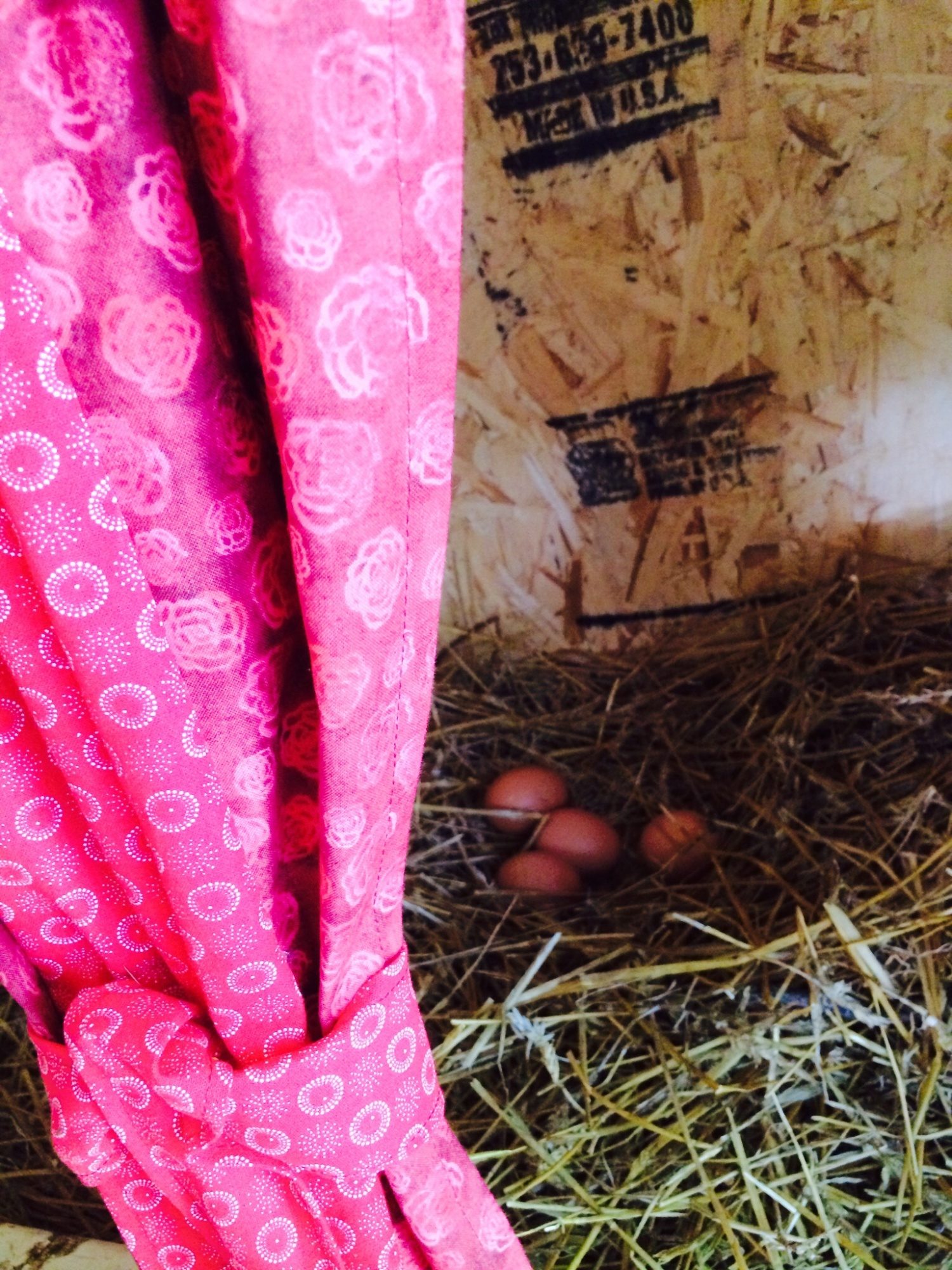 4 Happy Hens, 4 eggs a day!
