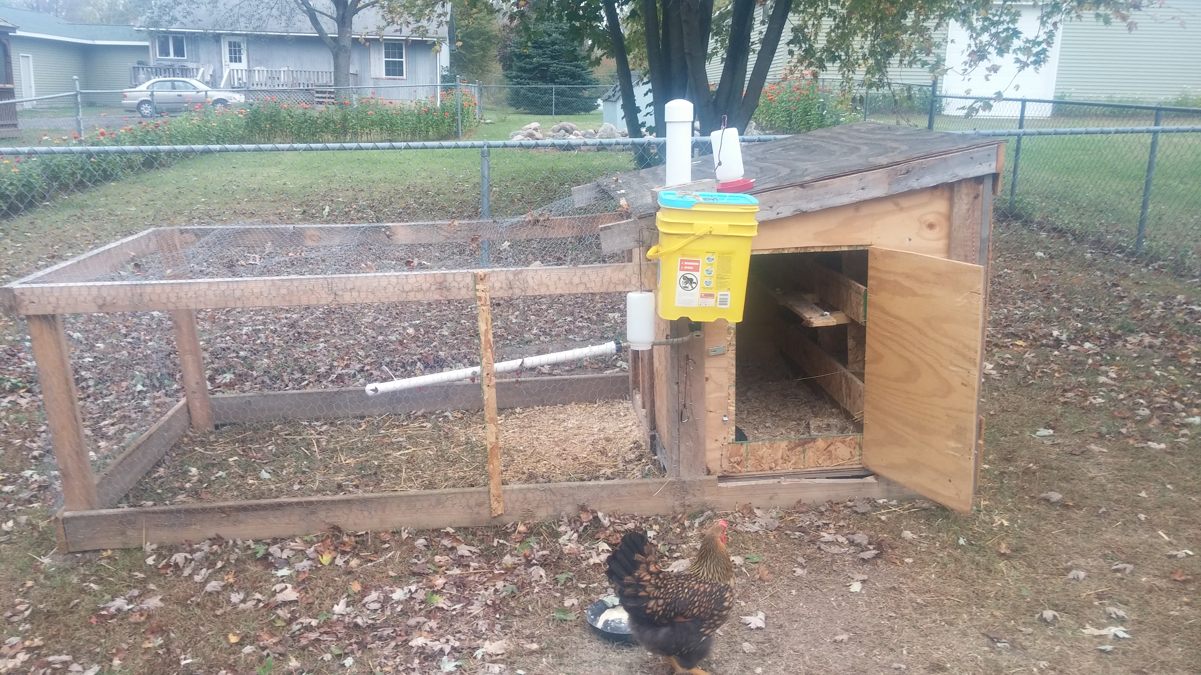 4 inch pipe threw the roof for feed, has 2 elbows to hold food. A five gallon bucket with hose to a pvc pipe with water nipples. Also has a forest to fill gaming w a get dish for in the coop.