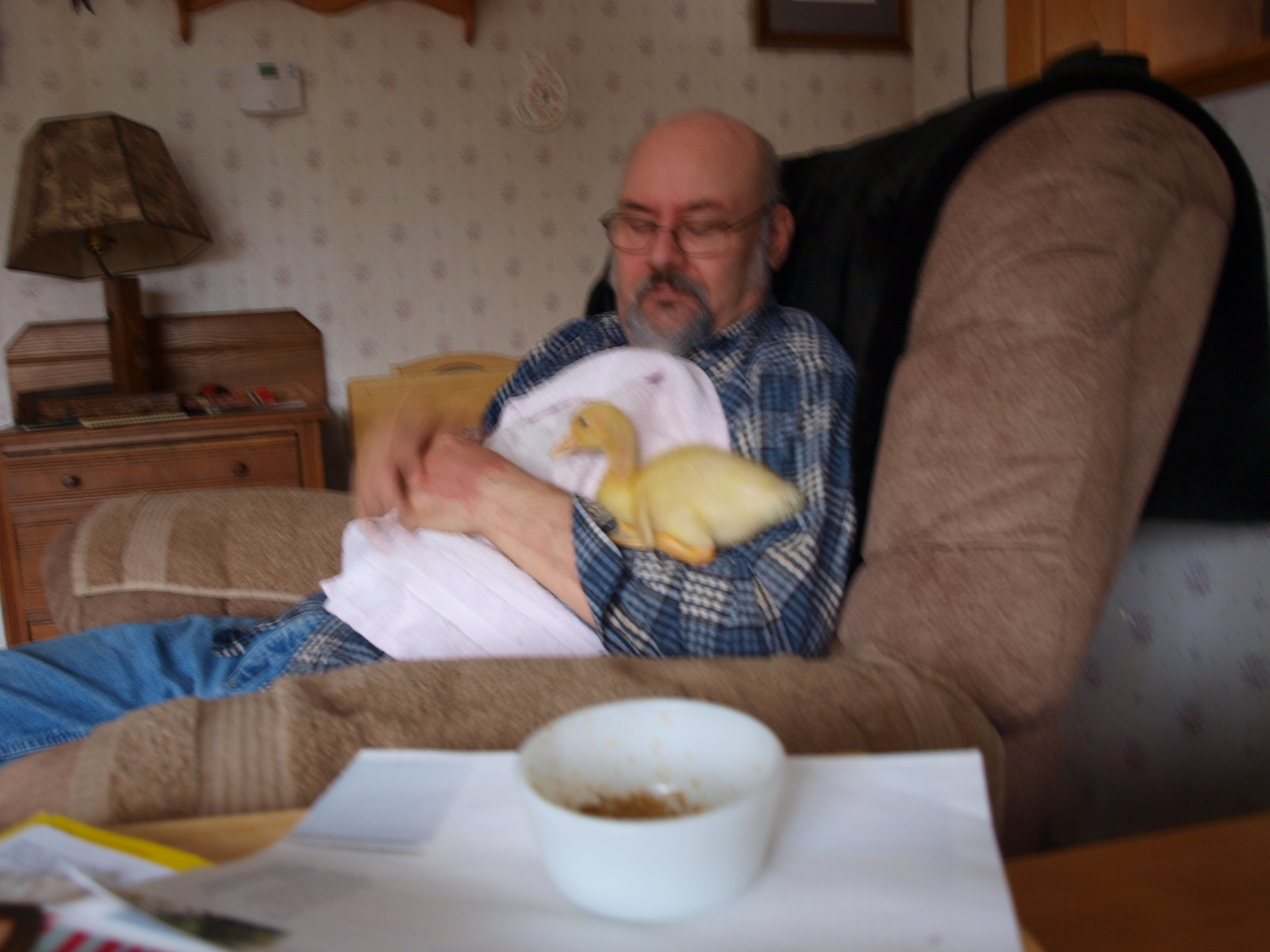 4 weeks old and resting with Dad!