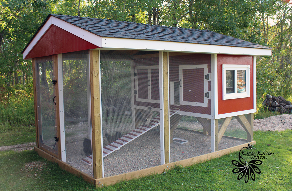 4 X 8 hutch style coop w with a 12 x 8 covered run enclosed in hardware cloth.