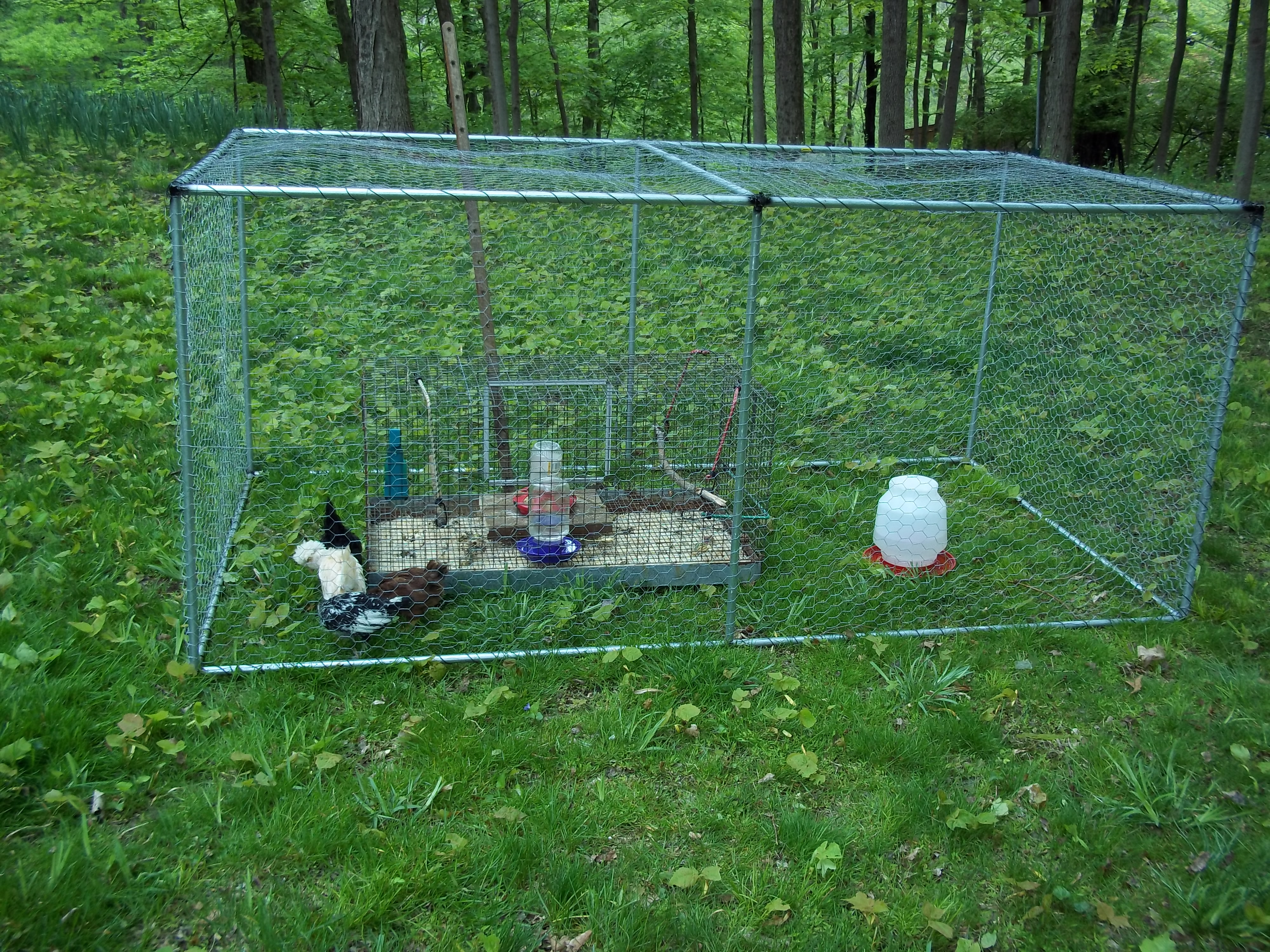 4 x 8 x 3 run made from electrical conduit and galvanized chicken wire