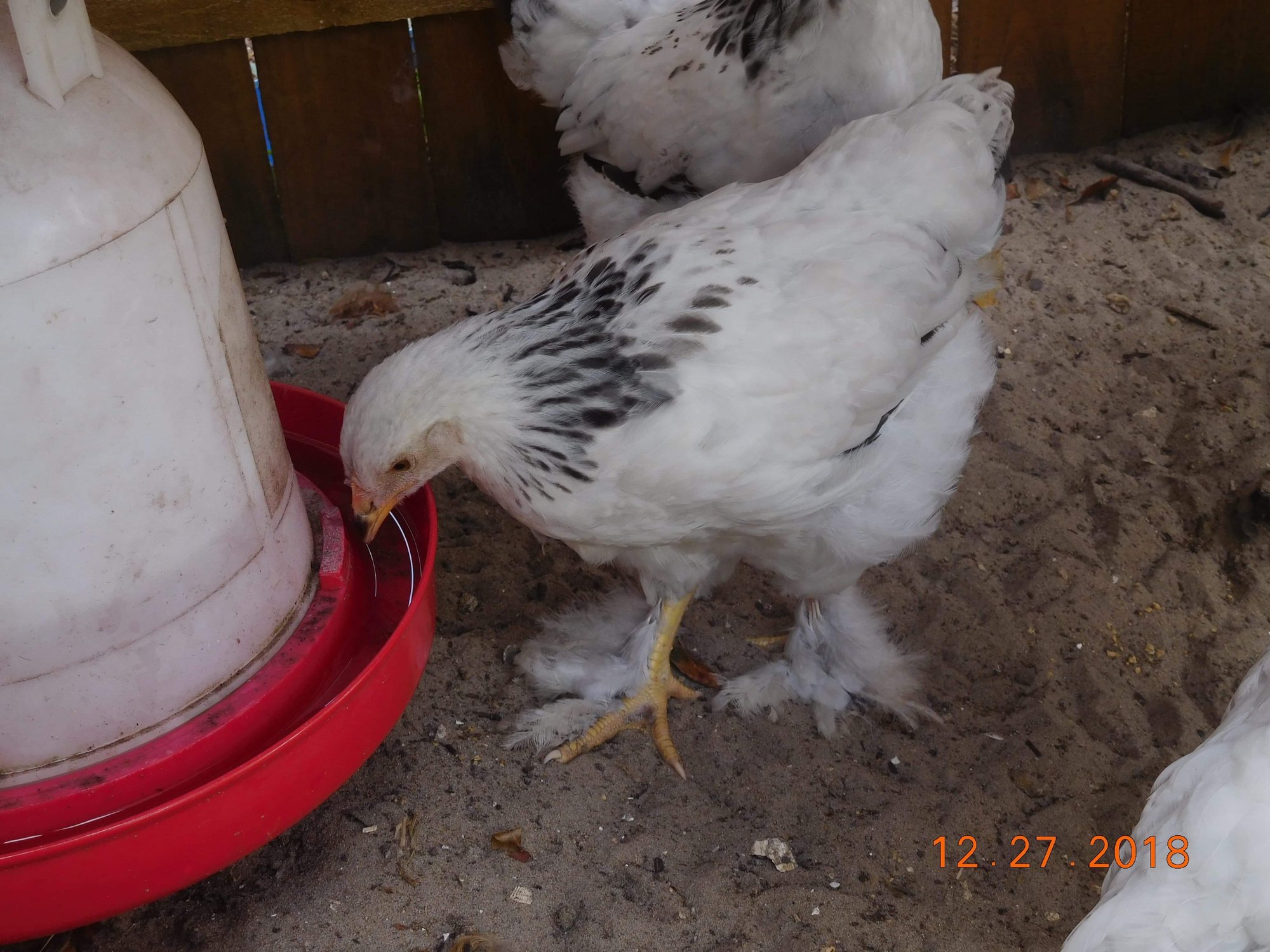 4550CFFE-E07E-4B61-9AB1-75A5A92A7B2B