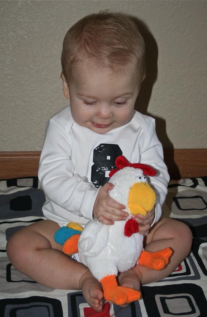 BackYard Chickens Learn How to Raise Chickens