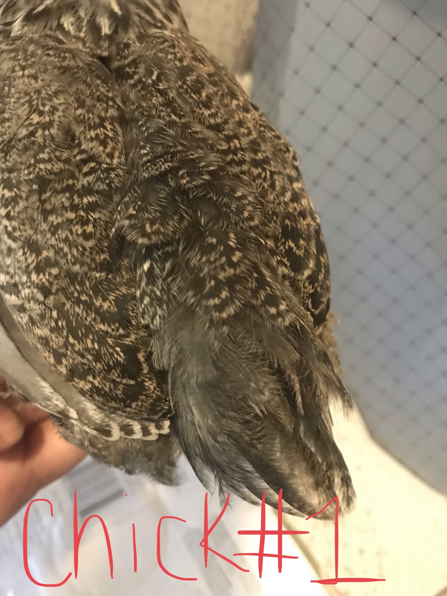 486D867F-DC10-4E86-8E9A-95EC4CFFA6DF