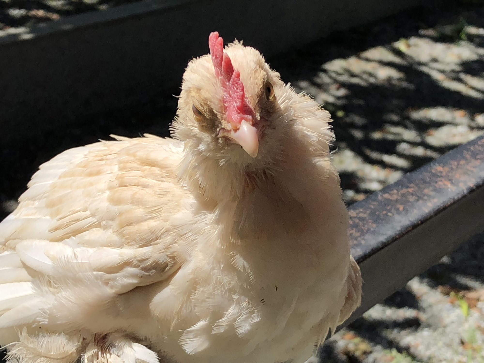 490BF4F7-4FED-4487-BE06-D65B515FD6E3