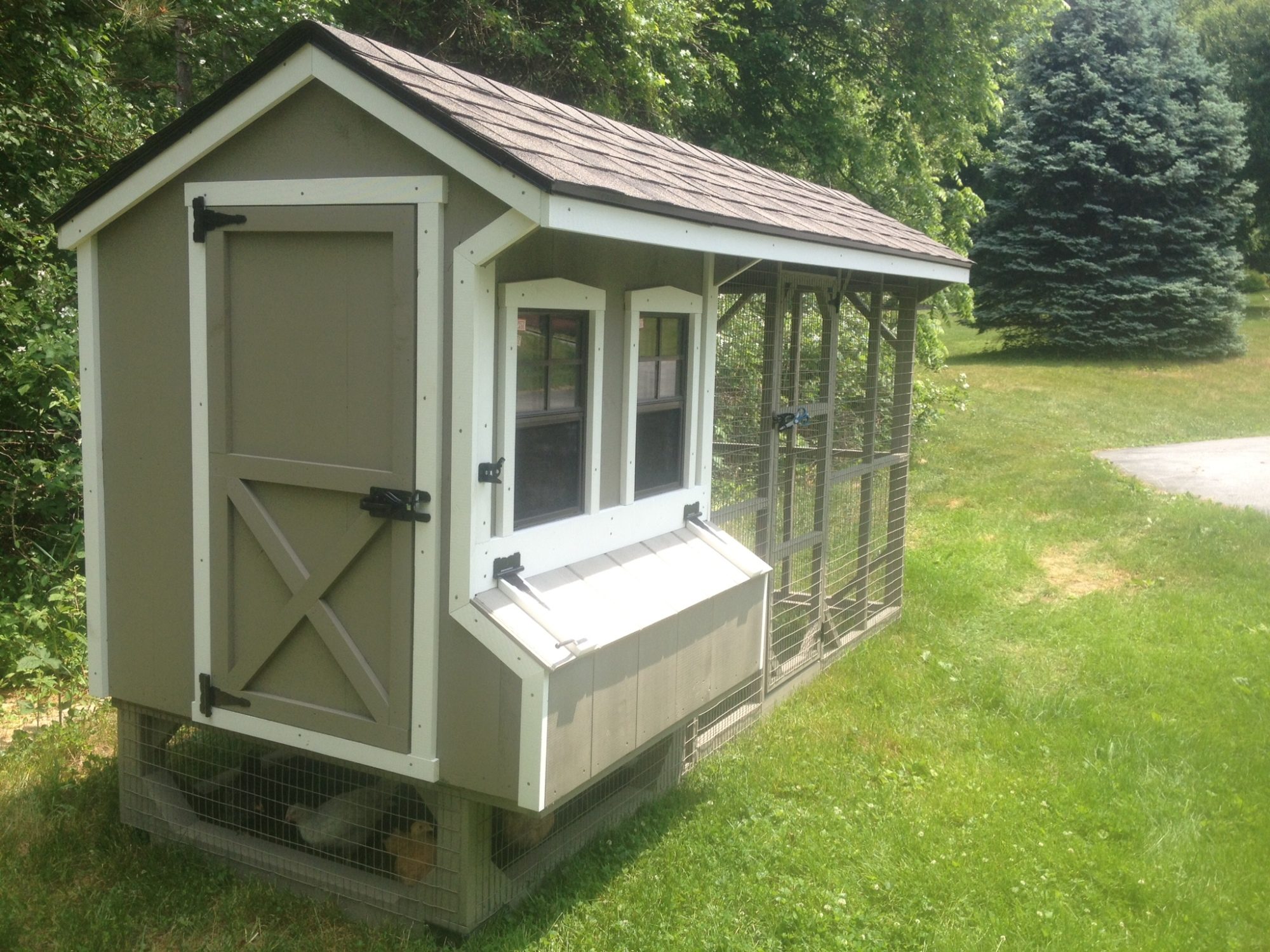 4ft by 4ft coop, 12ft by 4ft run (including space under the coop).