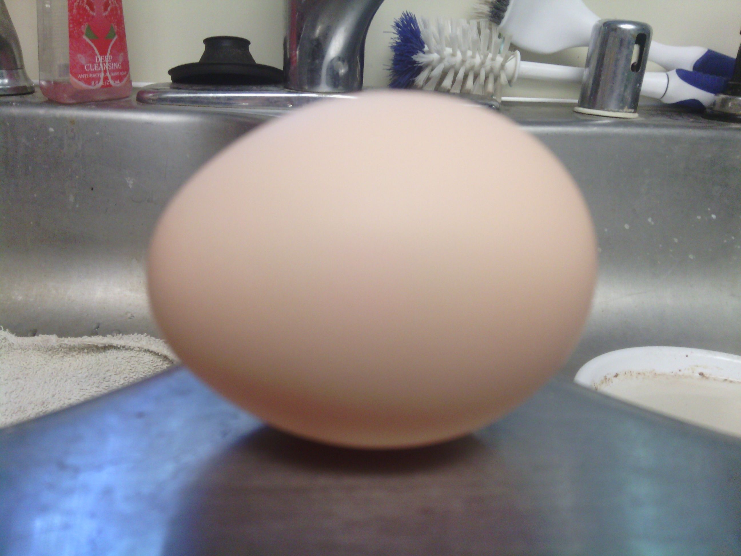 4th egg, 11:15 am, small, hard shelled