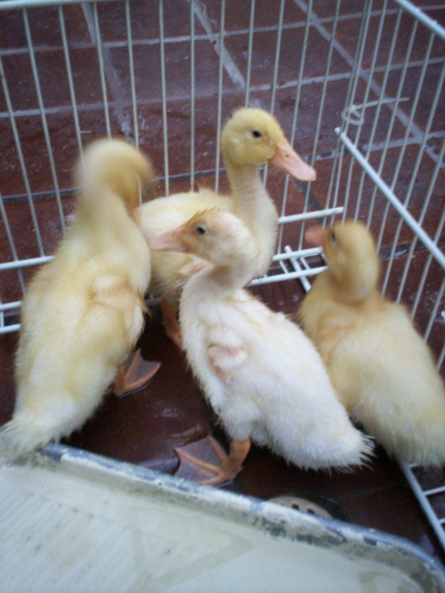 5-18-2013 Always together