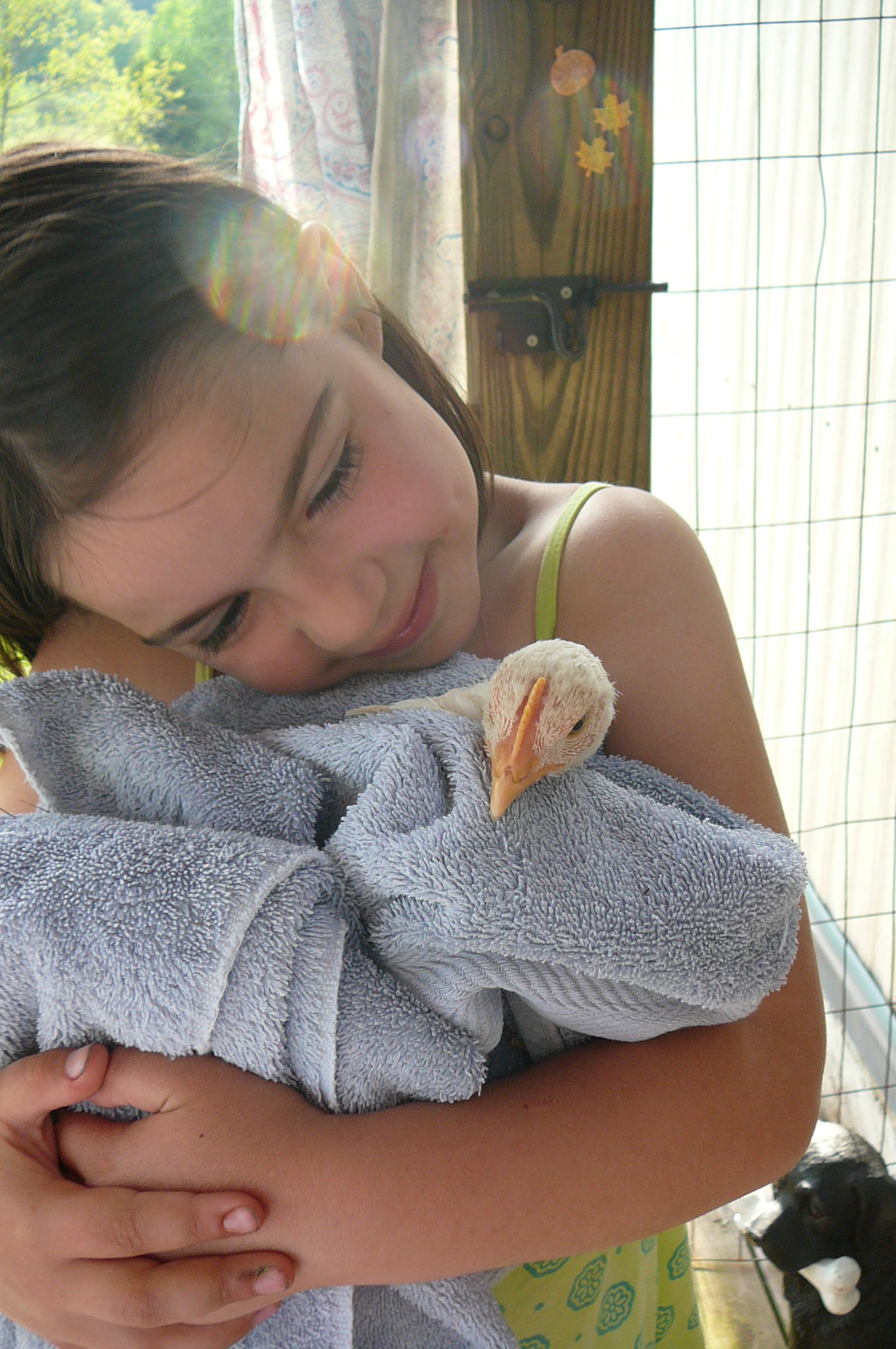 5/20/12
Apparantly you CAN swaddle a chicken!