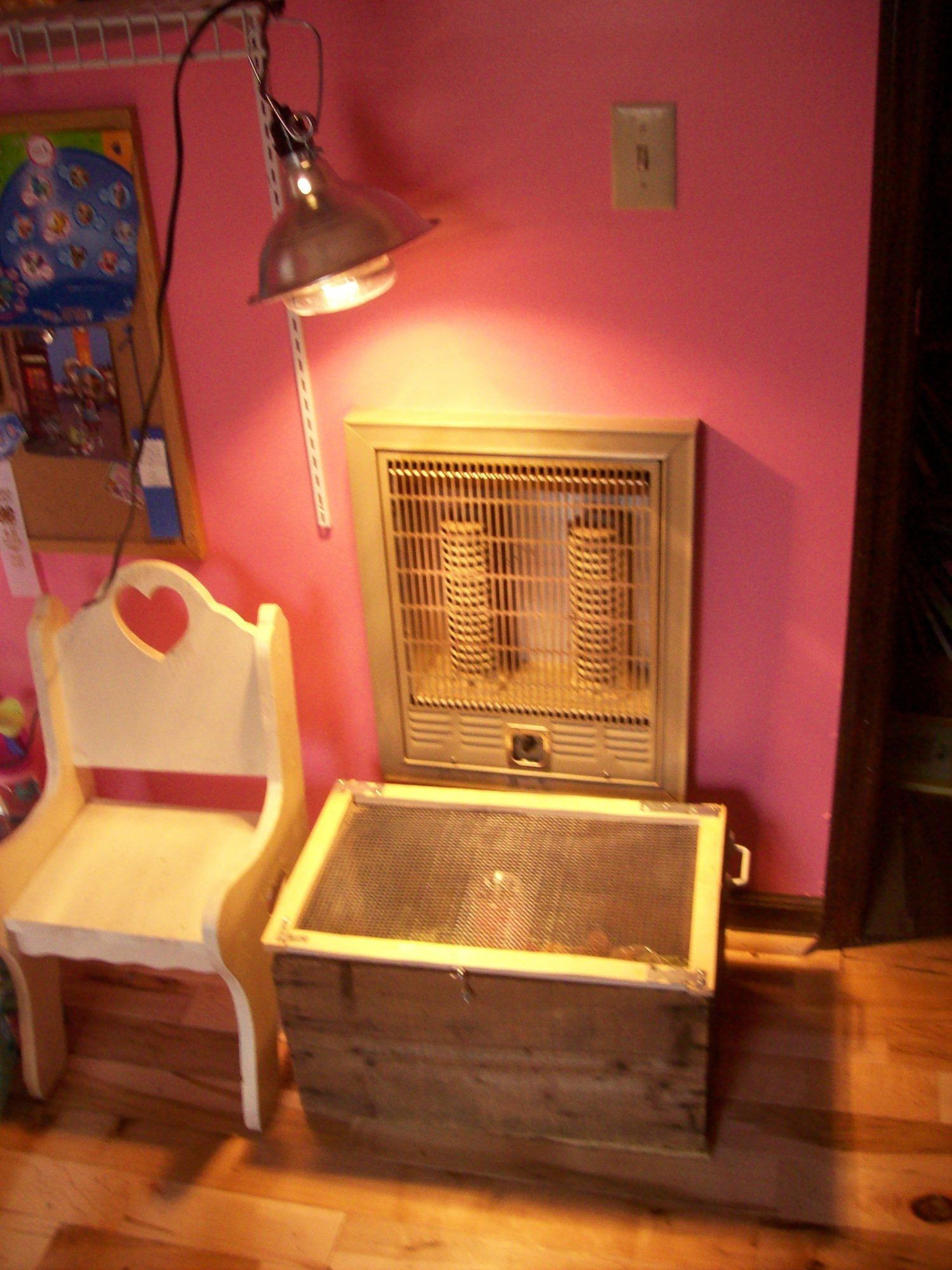 5/24/13 Brooder in my daughter's room (heater not on, we use the heat lamp).  When they're old enough, they'll go to the coop/brooder outside.