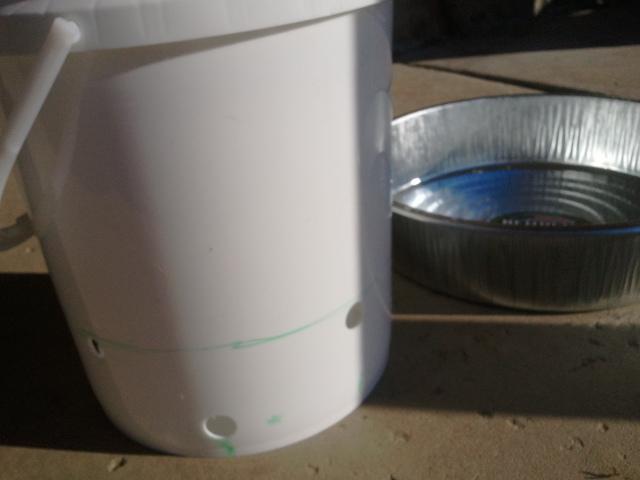 5 Gallon bucket with lg pan from TS
