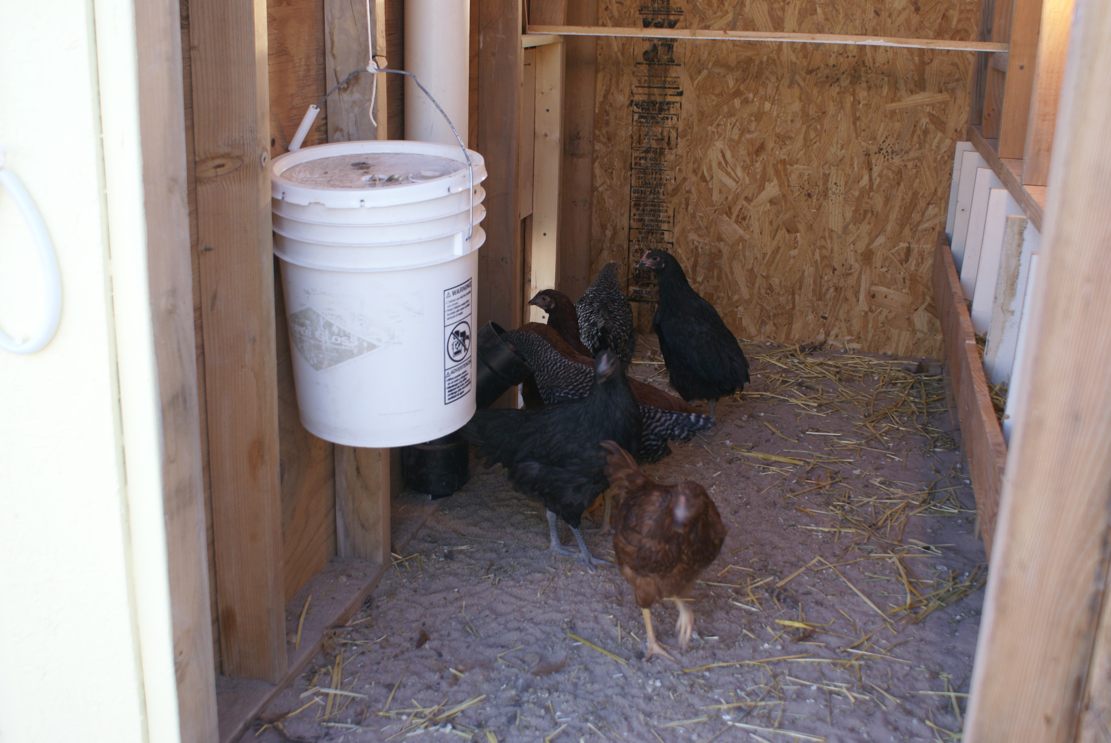 5 gallon water bucket  with 5 water nipples on the bottom  (we love it ) no mess in there water.