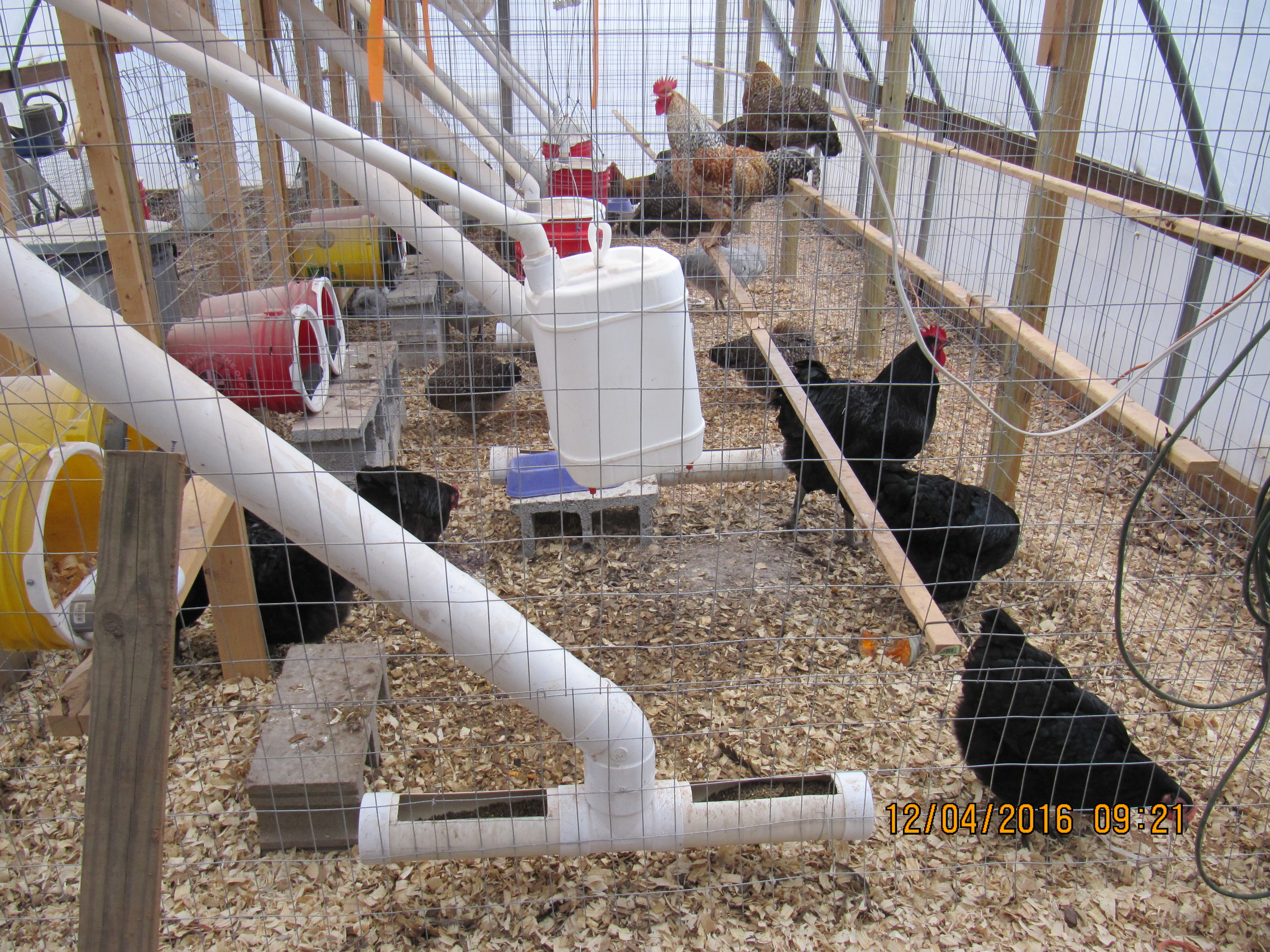 5 separate pens 8'x5'